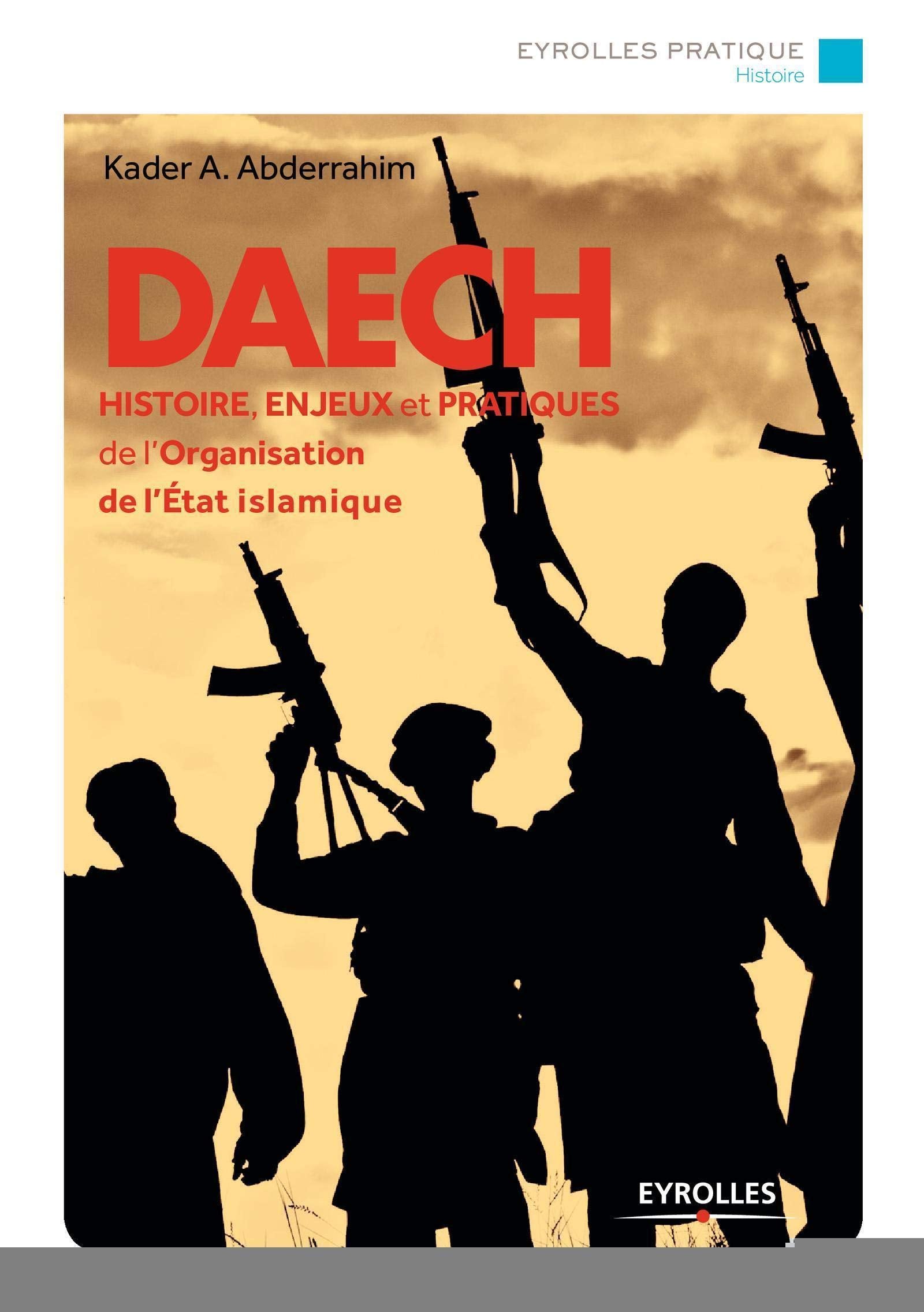DAECH: Histoire, enjeux et pratiques de l'Organisation de l'Etat islamique. book