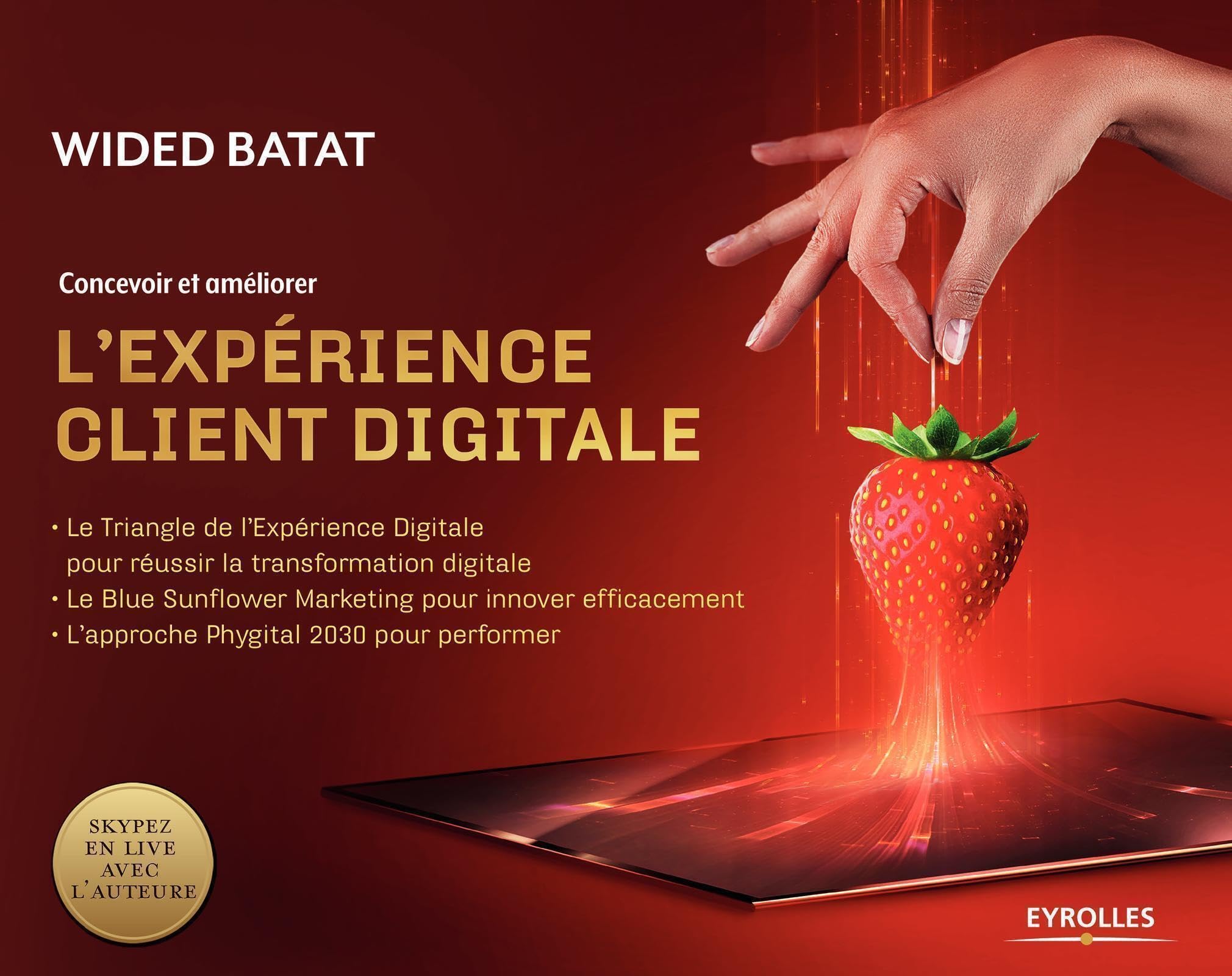 Concevoir et améliorer l'expérience client digitale: Le Triangle de l'Expérience Digitale pour réussir la transformation digitale. Le Blue Sunflower ... L'approche Physical 2030 pour performer book