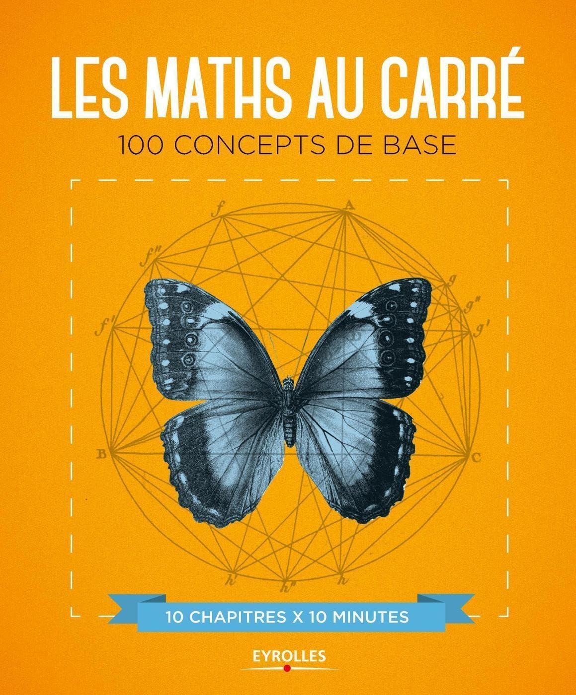 Les maths au carré: 100 concepts de base. 10 chapitres x 10 minutes book