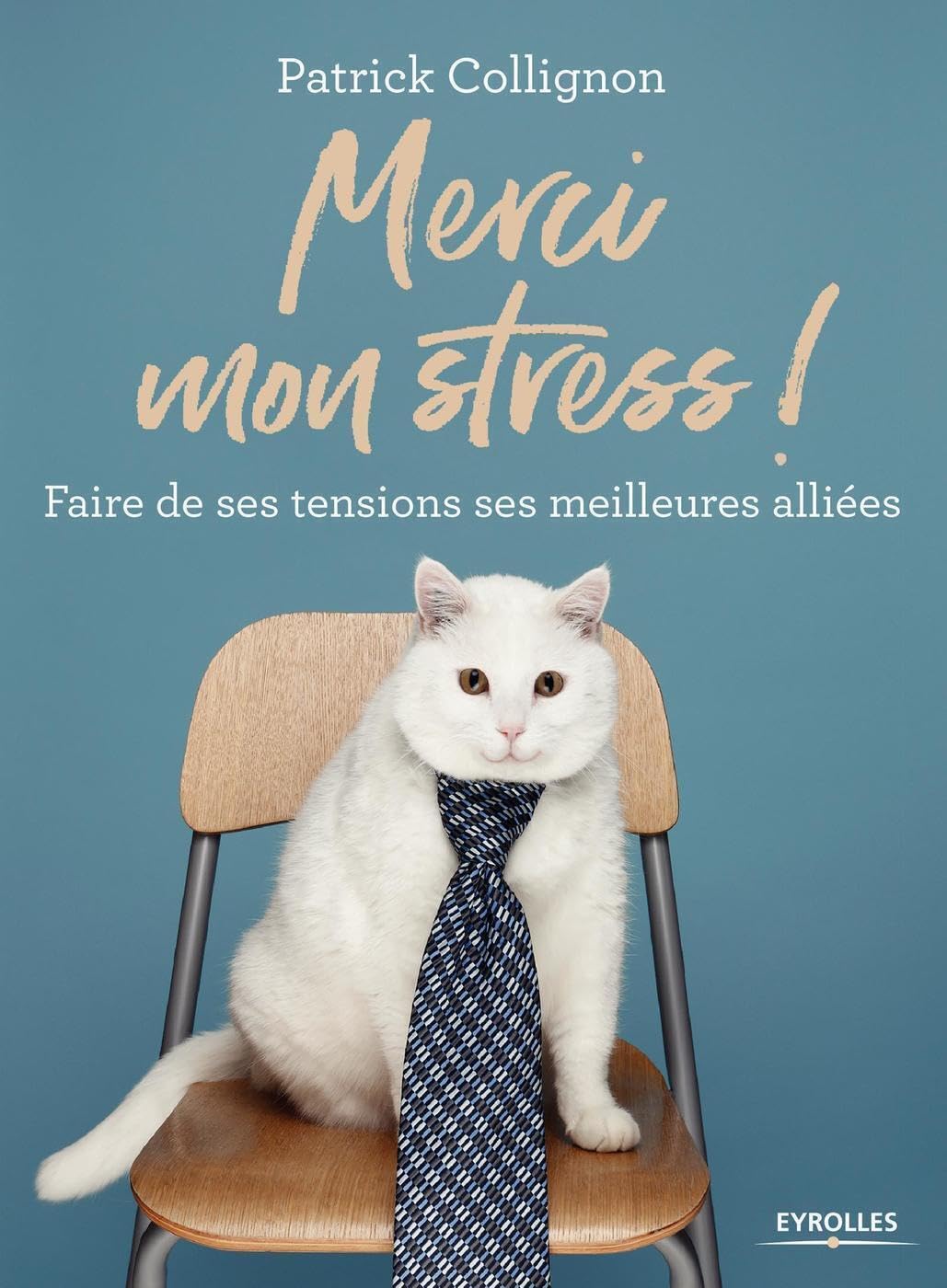Merci mon stress !: Faire de ses tensions ses meilleures alliées book