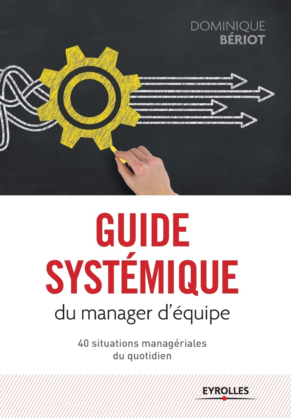 Guide systémique du manager d'équipe: 40 situations managériales du quotidien book