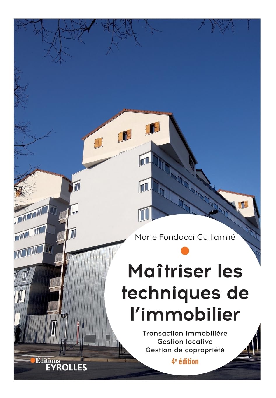 Maîtriser les techniques de l'immobilier: Transaction immobilière. Gestion locative. Gestion de copropriété Film, Art & Culture