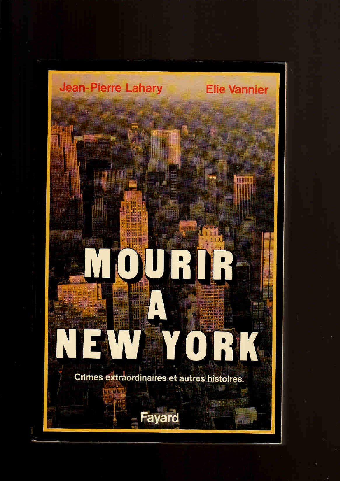 Mourir à New York book