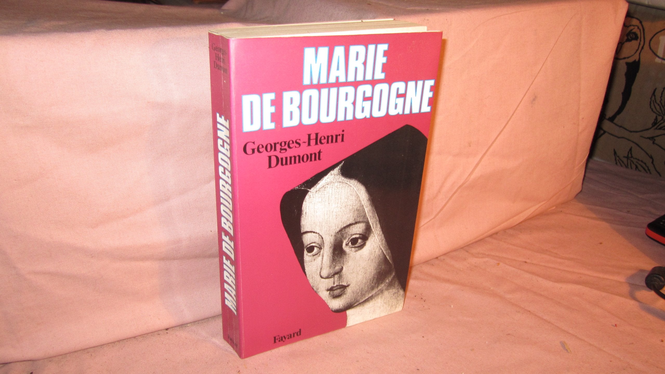 Marie de Bourgogne Politics & History