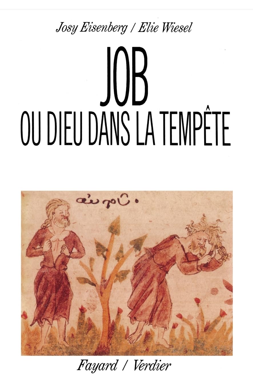 Job ou Dieu dans la tempête book
