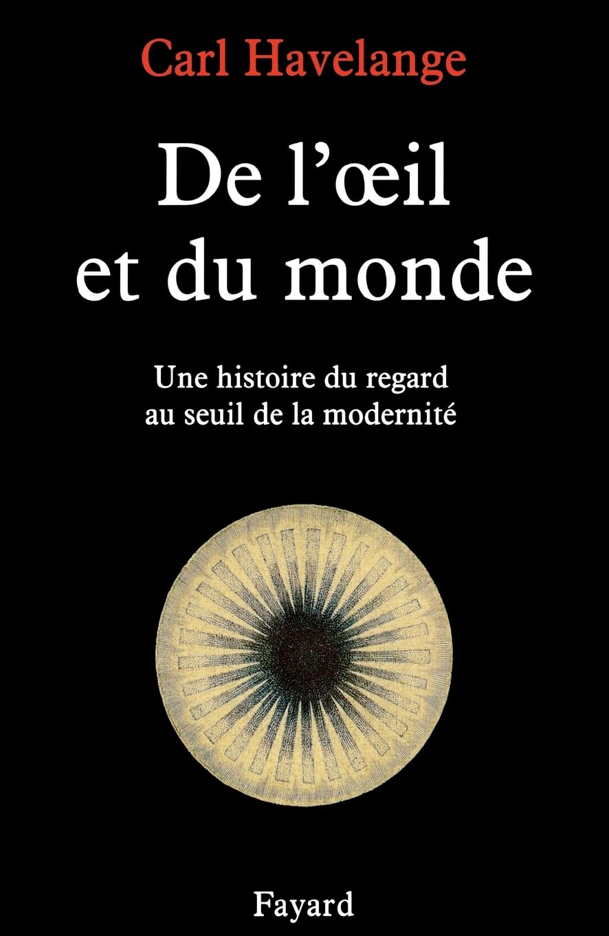 De l'oeil et du monde: Une histoire du regard au seuil de la modernité Politics & History