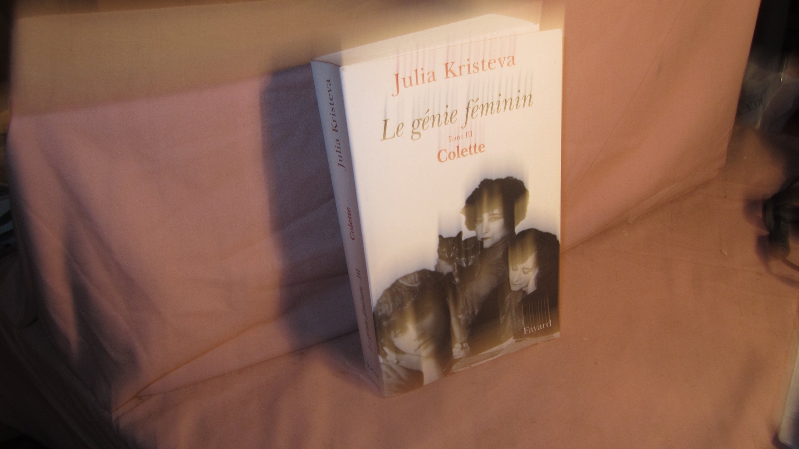 Le Génie féminin, tome 3: Colette Essays & Short Stories
