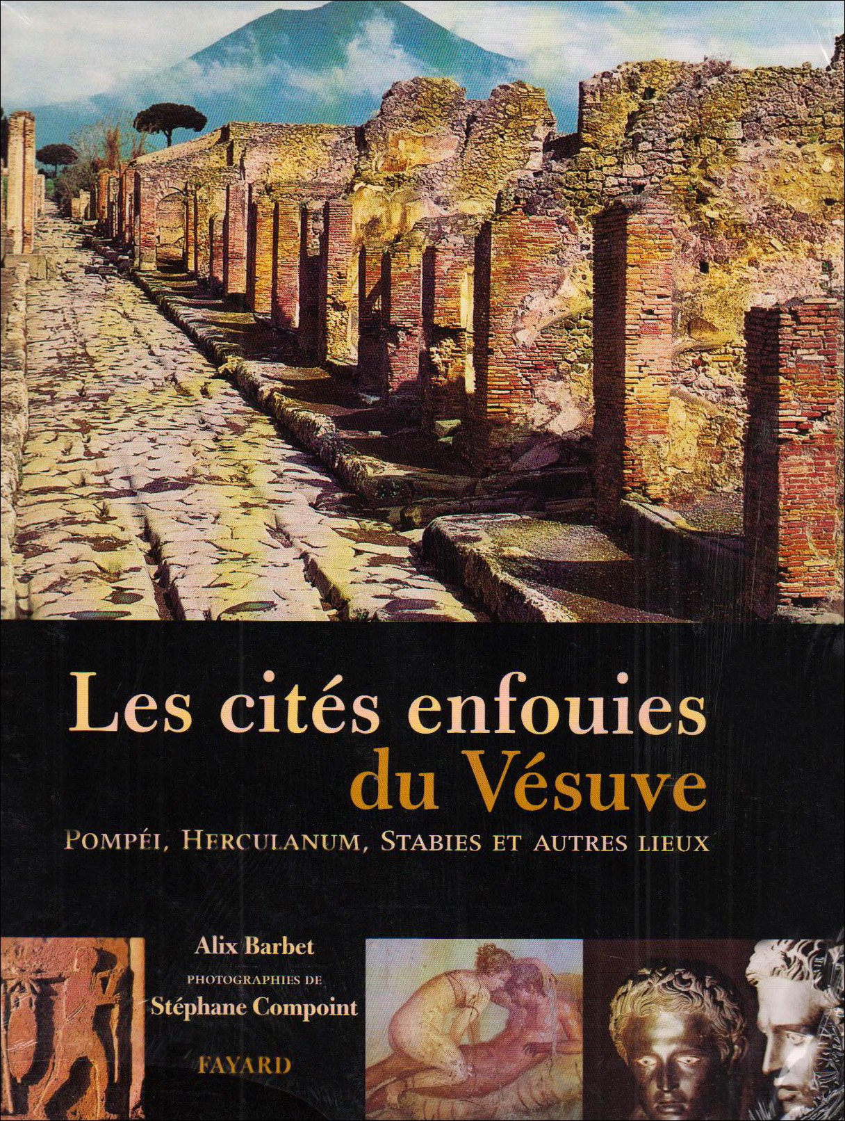 Les Cites Enfouies Du Vesuve. Pompei, Herculanum, Stabies Et Autres Lieux Books