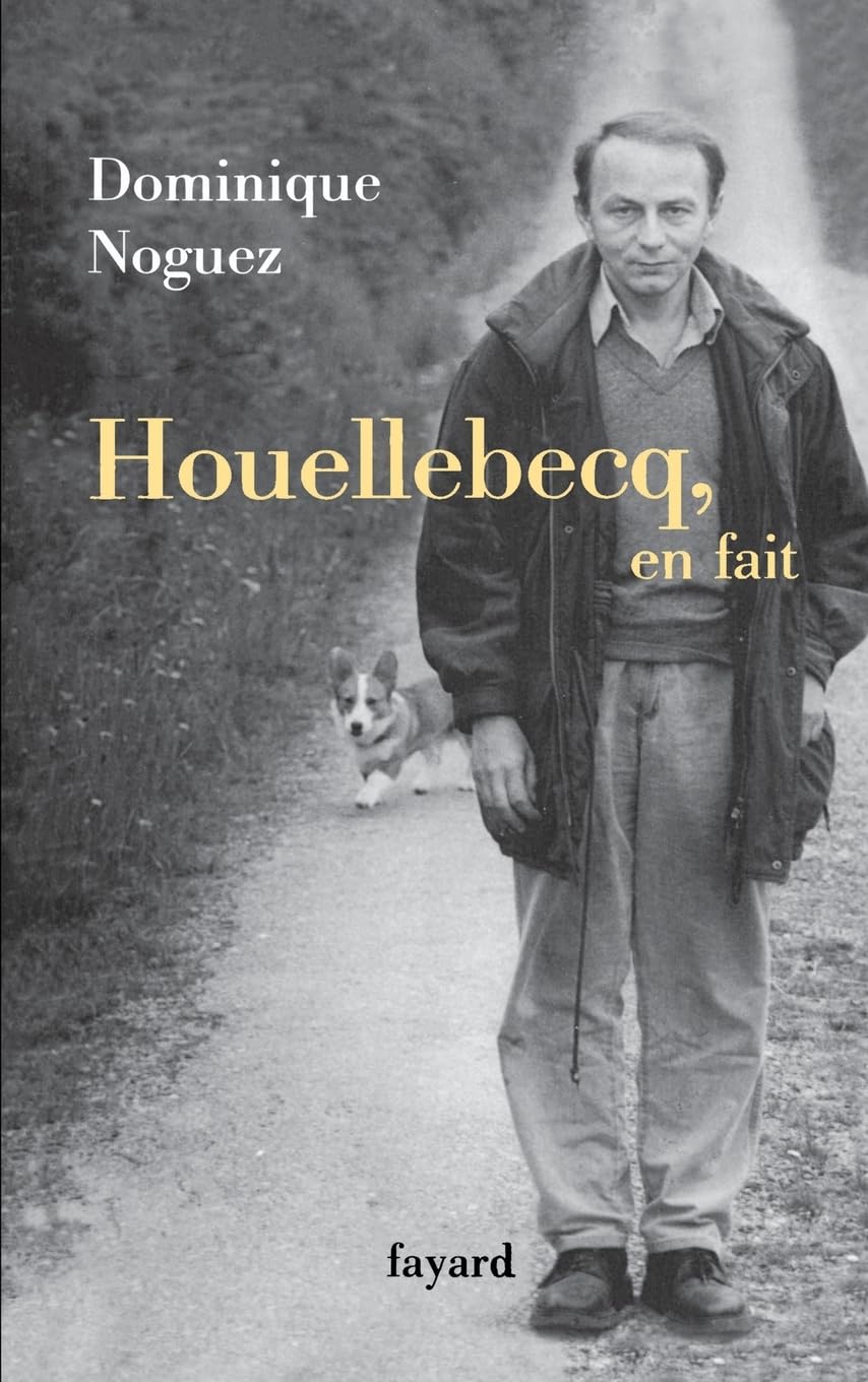 Houellebecq, en fait Contemporary literature