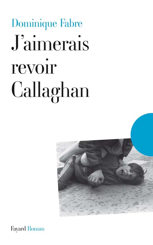 J'aimerais revoir Callaghan Contemporary literature