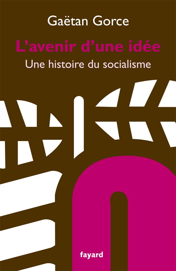 L'avenir d'une idée: Une histoire du socialisme book