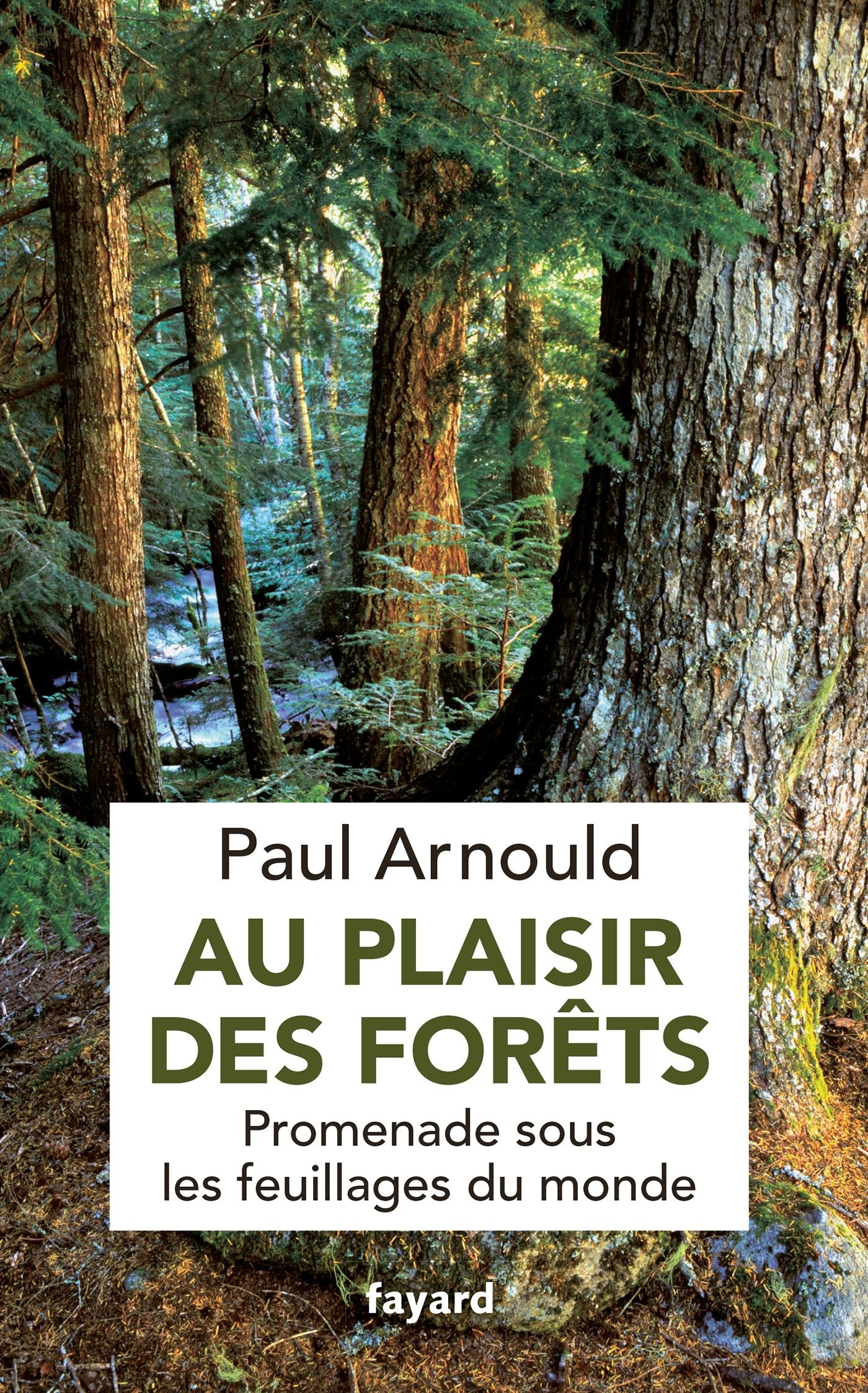 Au plaisir des forêts: Promenade sous les feuillages du monde book