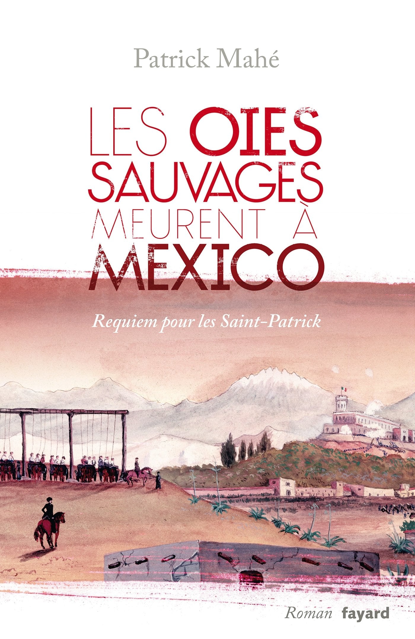 Les oies sauvages meurent à Mexico: Requiem pour les Saint-Patrick book
