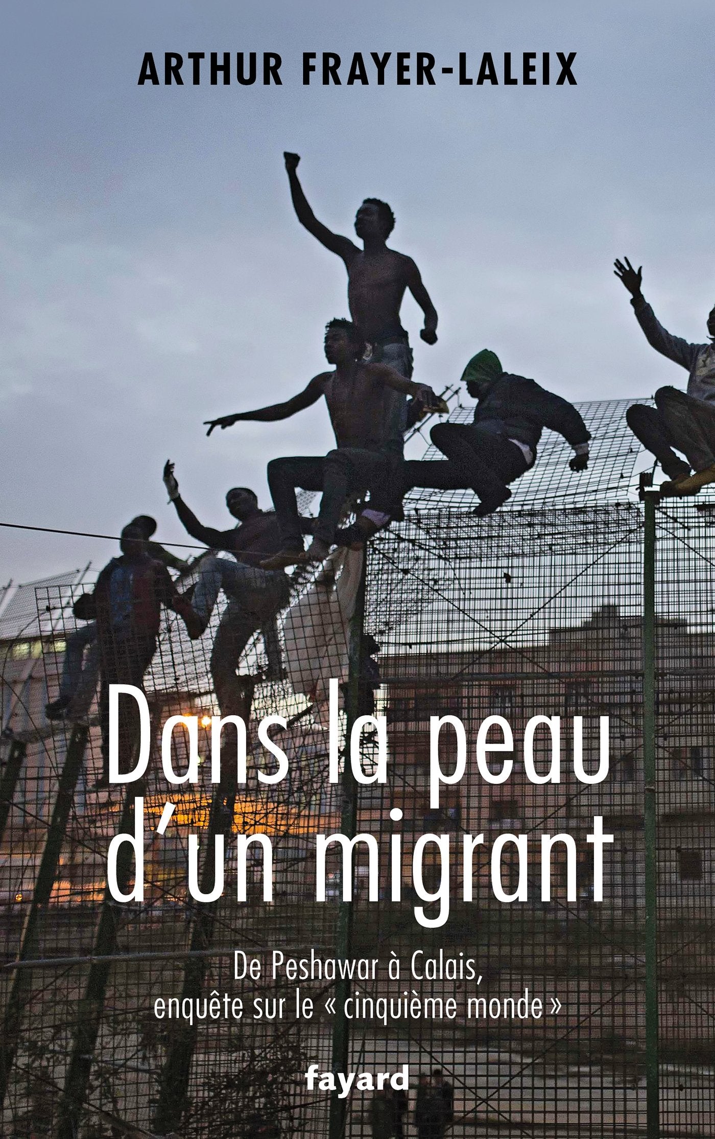 DANS LA PEAU D UN MIGRANT book