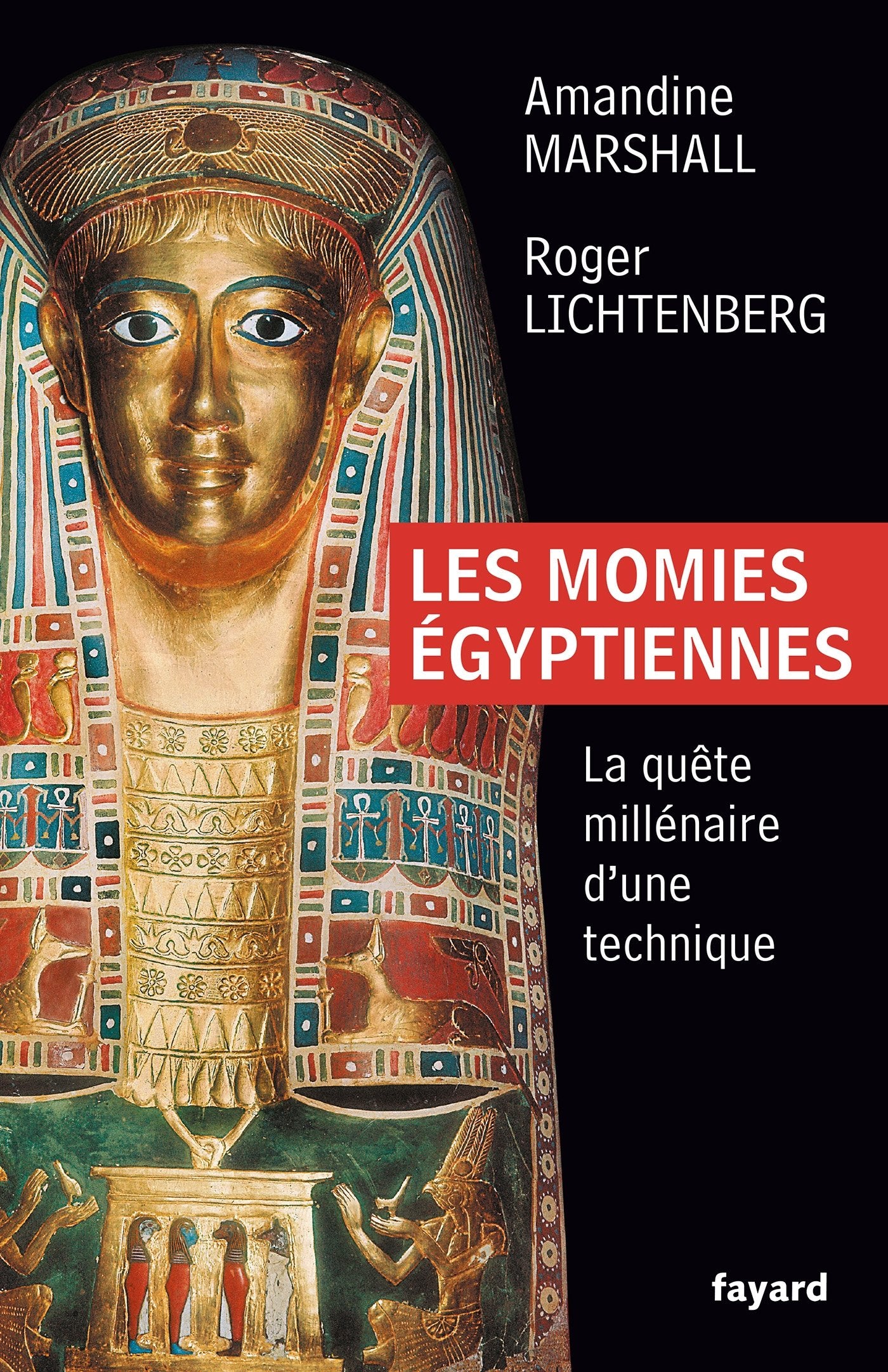 Les momies égyptiennes: La quête millénaire d'une technique book