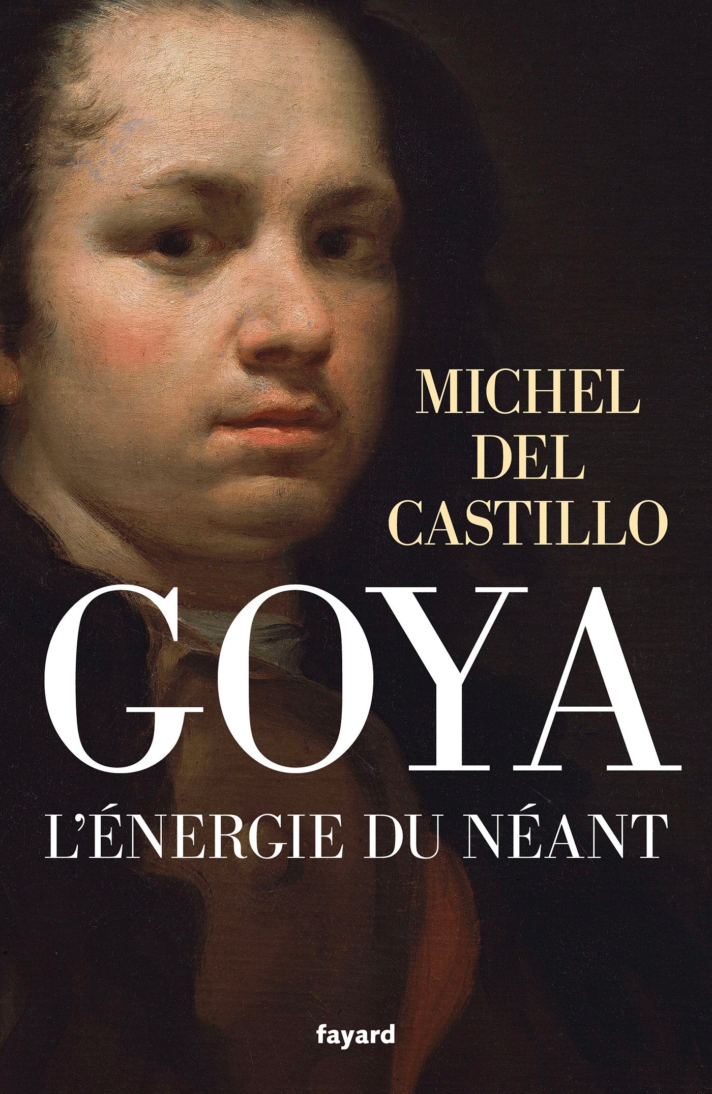 Goya: L'énergie du néant book
