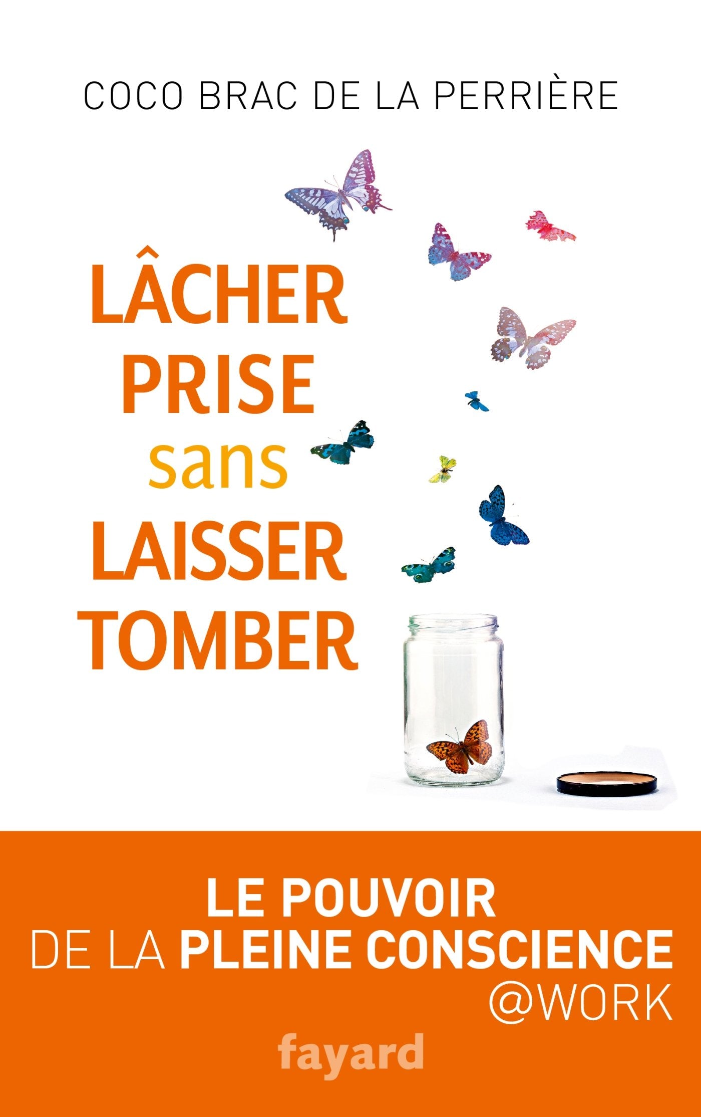 Lâcher prise sans laisser tomber: Le pouvoir de la pleine conscience book