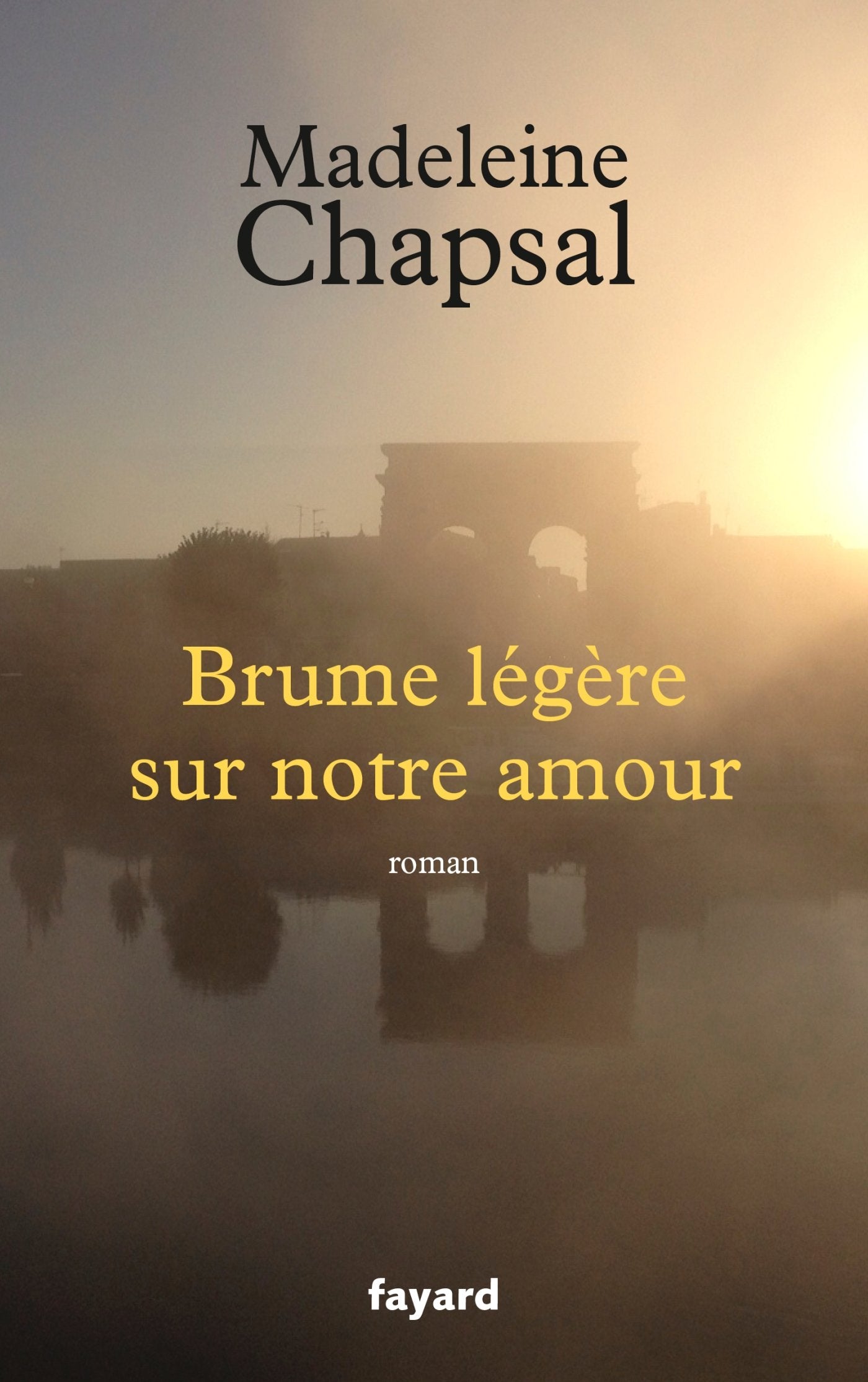 Brume légère sur notre amour (Litterature Francaise) Contemporary literature