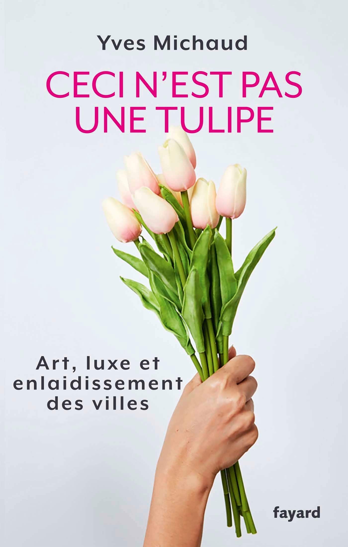 Ceci n'est pas une tulipe: Art, luxe et enlaidissement des villes Books