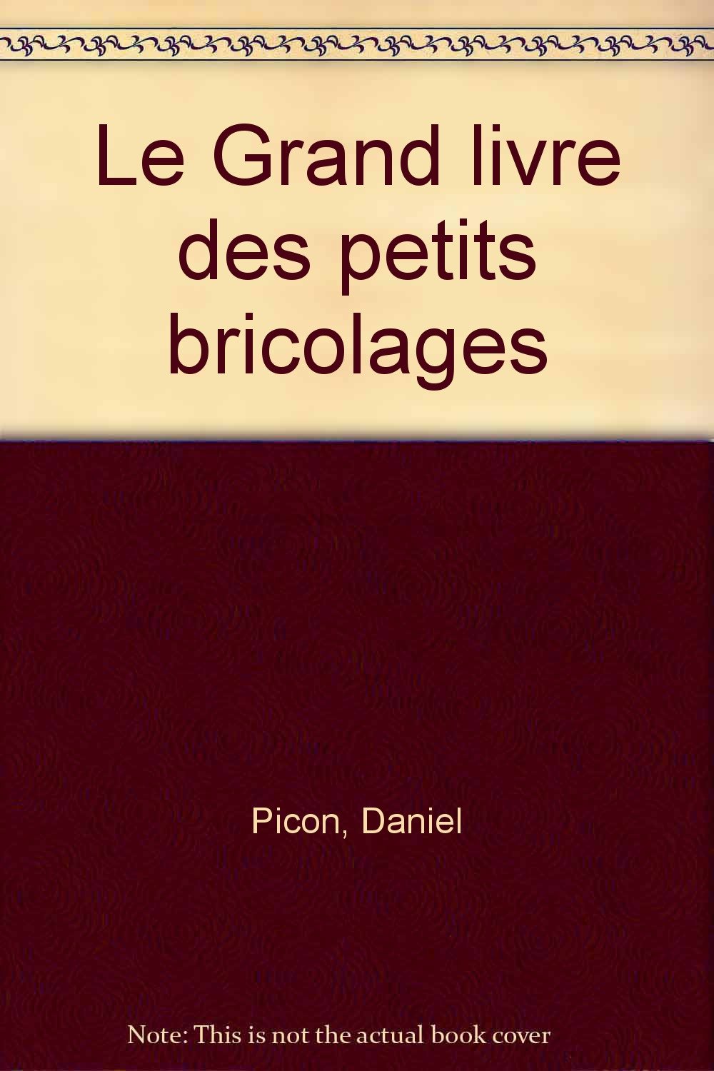 Le Grand livre des petits bricolages book
