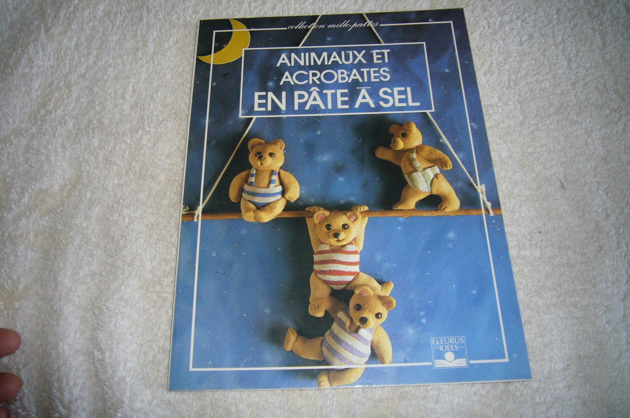 Animaux et acrobates en pâte à sel Books
