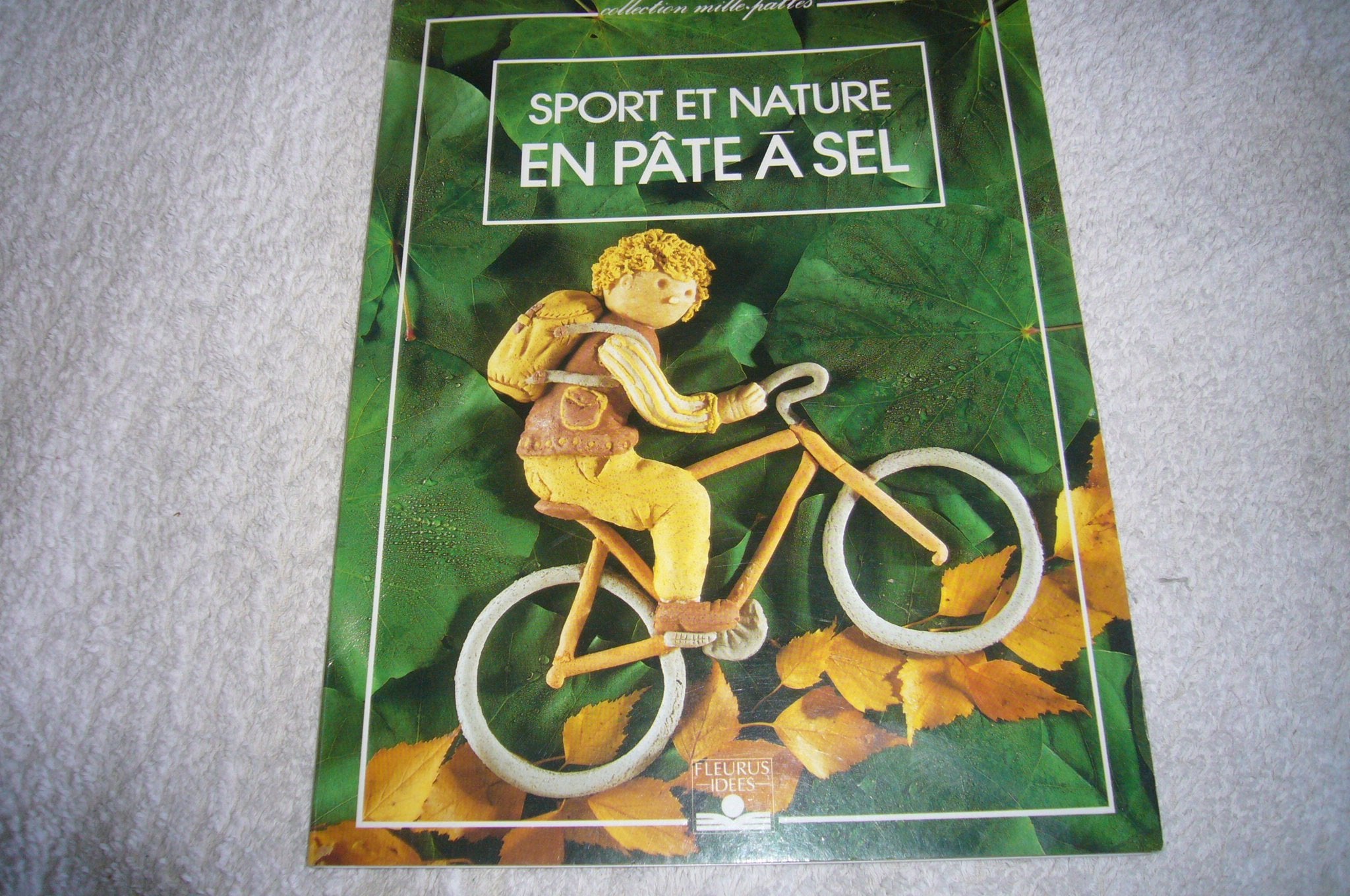 Sport et nature en pâte à sel book