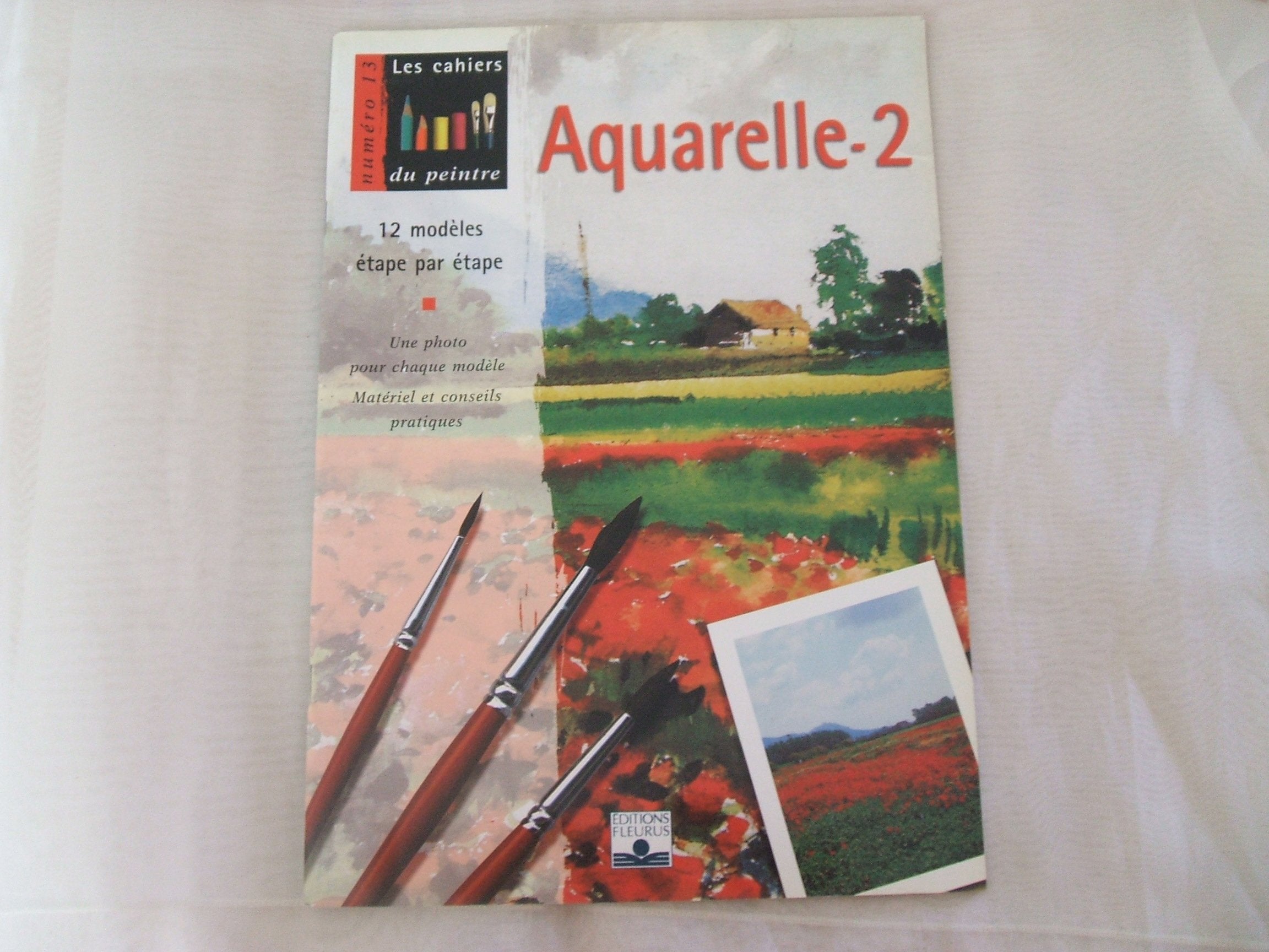 Aquarelle, volume 2 : 12 modèles étape par étape book