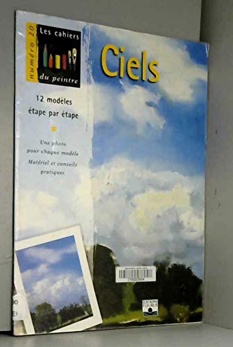 Ciels : 12 modèles étape par étape book