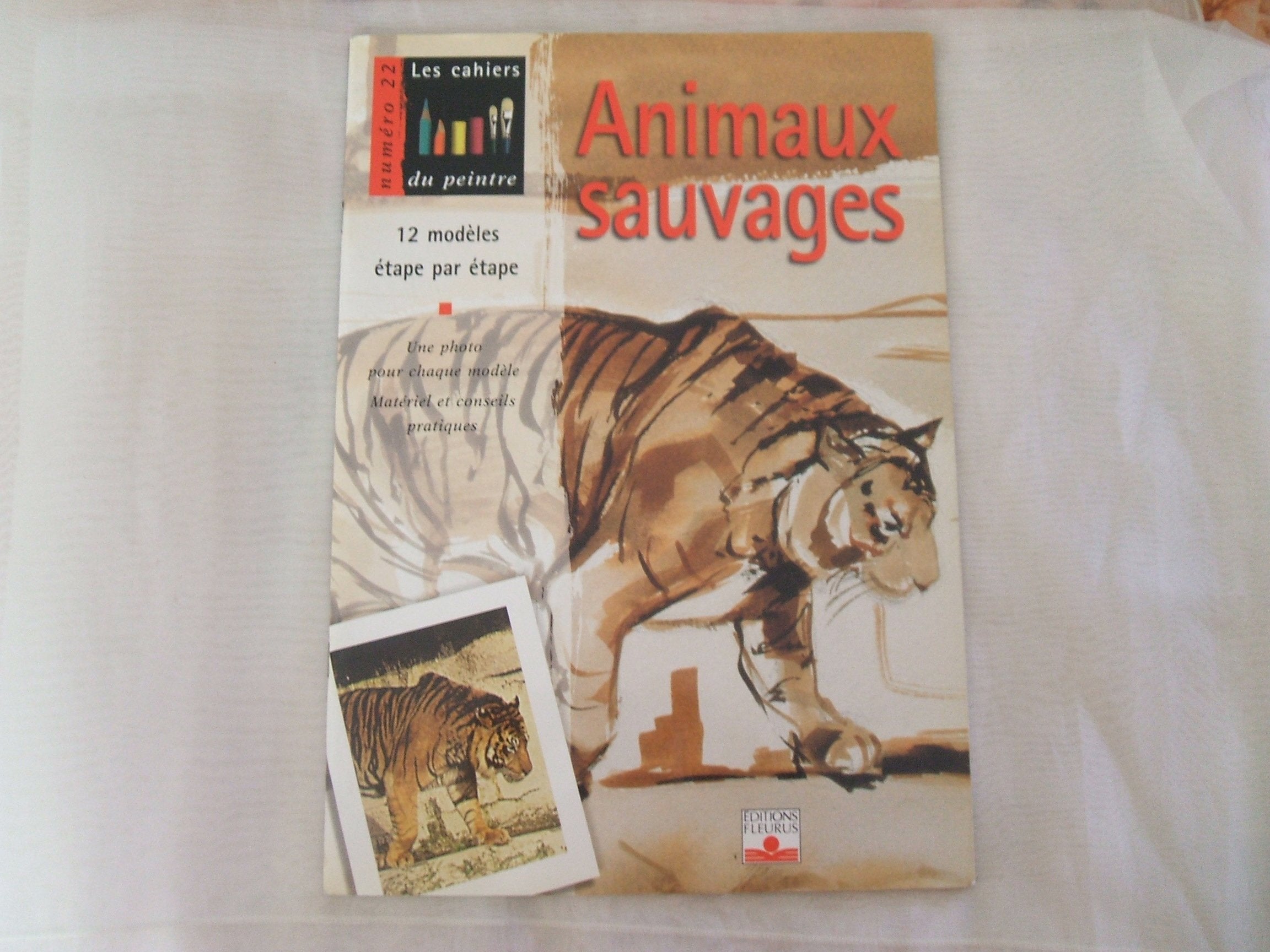 Animaux sauvages : 12 modèles étape par étape book