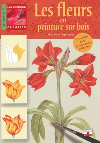Fleurs en peinture sur bois Hobbies & Crafts