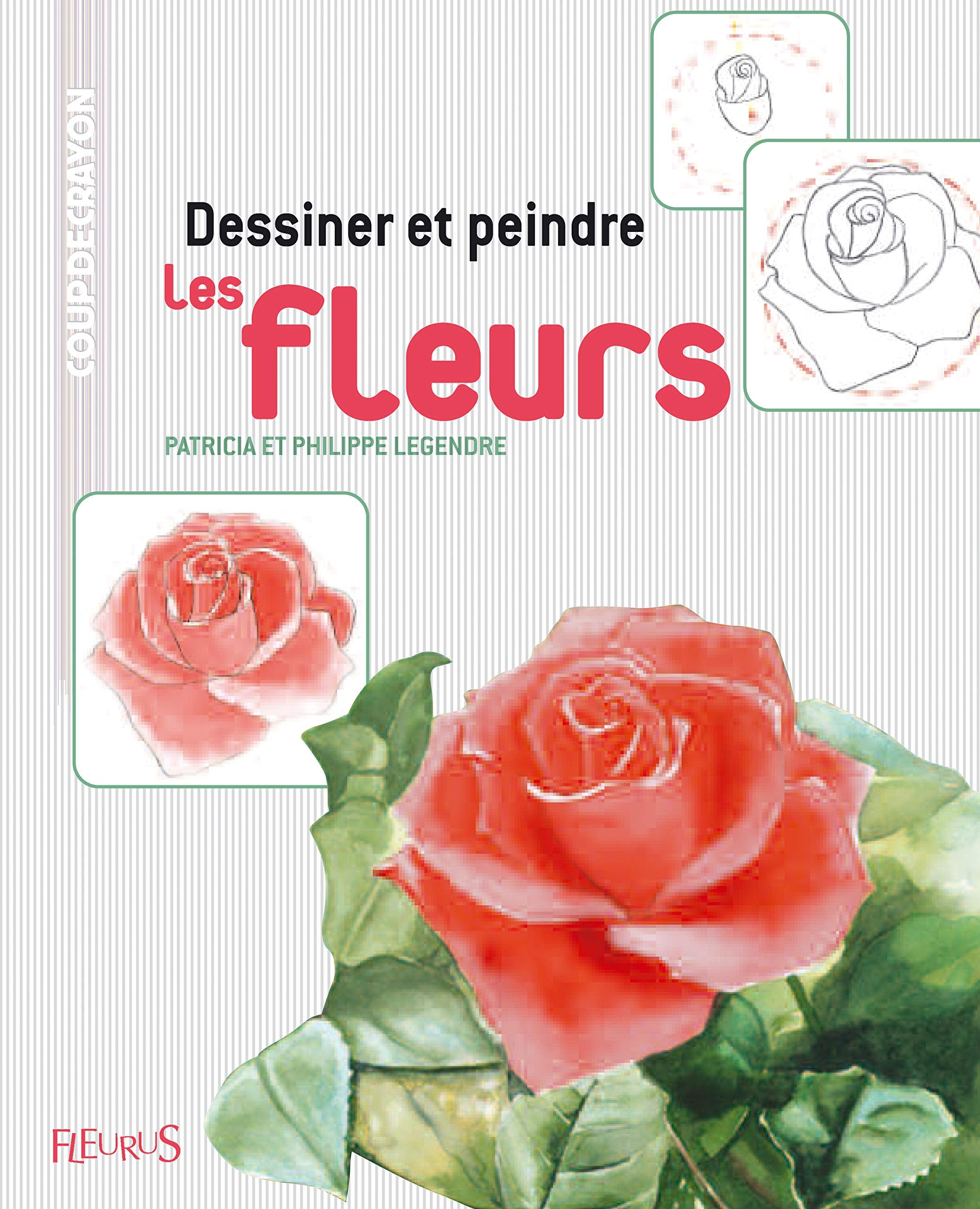 Dessiner et peindre les fleurs Hobbies & Crafts