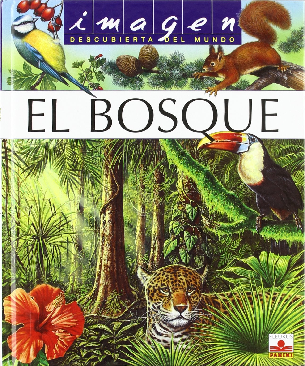IMAGEN EL BOSQUE + PUZZLE (Imagen Descubierta Del Mundo) Social Sciences