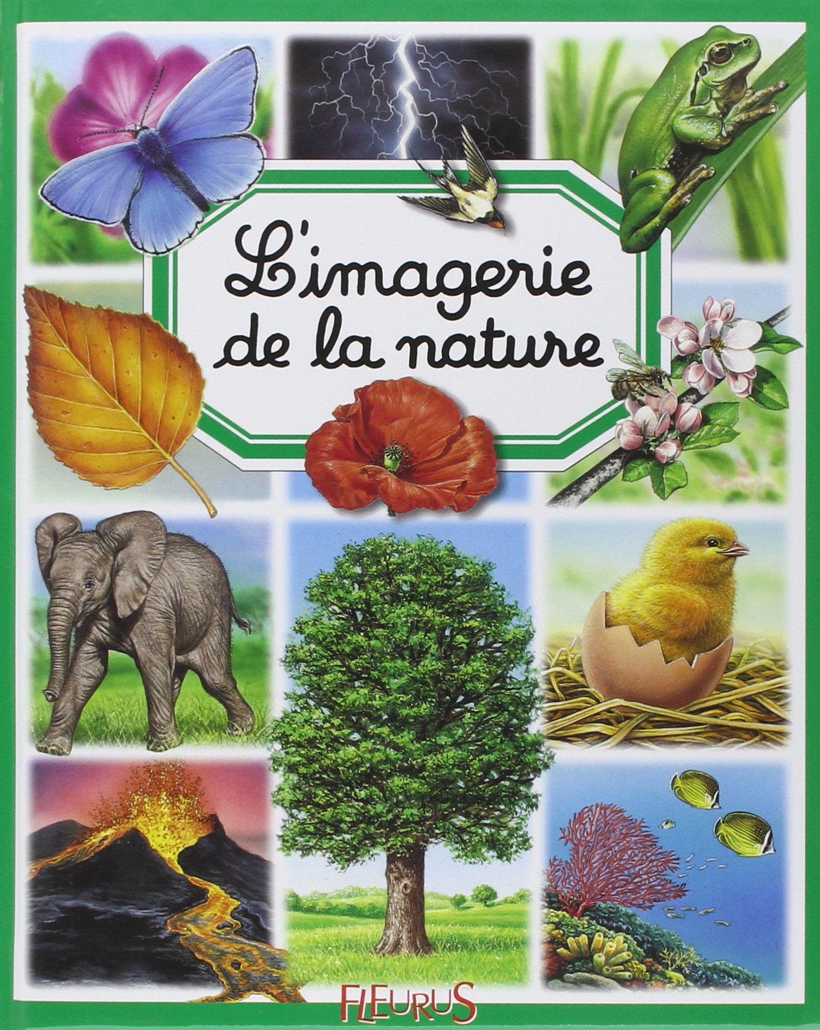 L'imagerie de la nature Contemporary literature