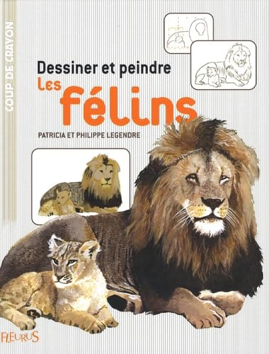 DESSINER ET PEINDRE LES FELINS Hobbies & Crafts