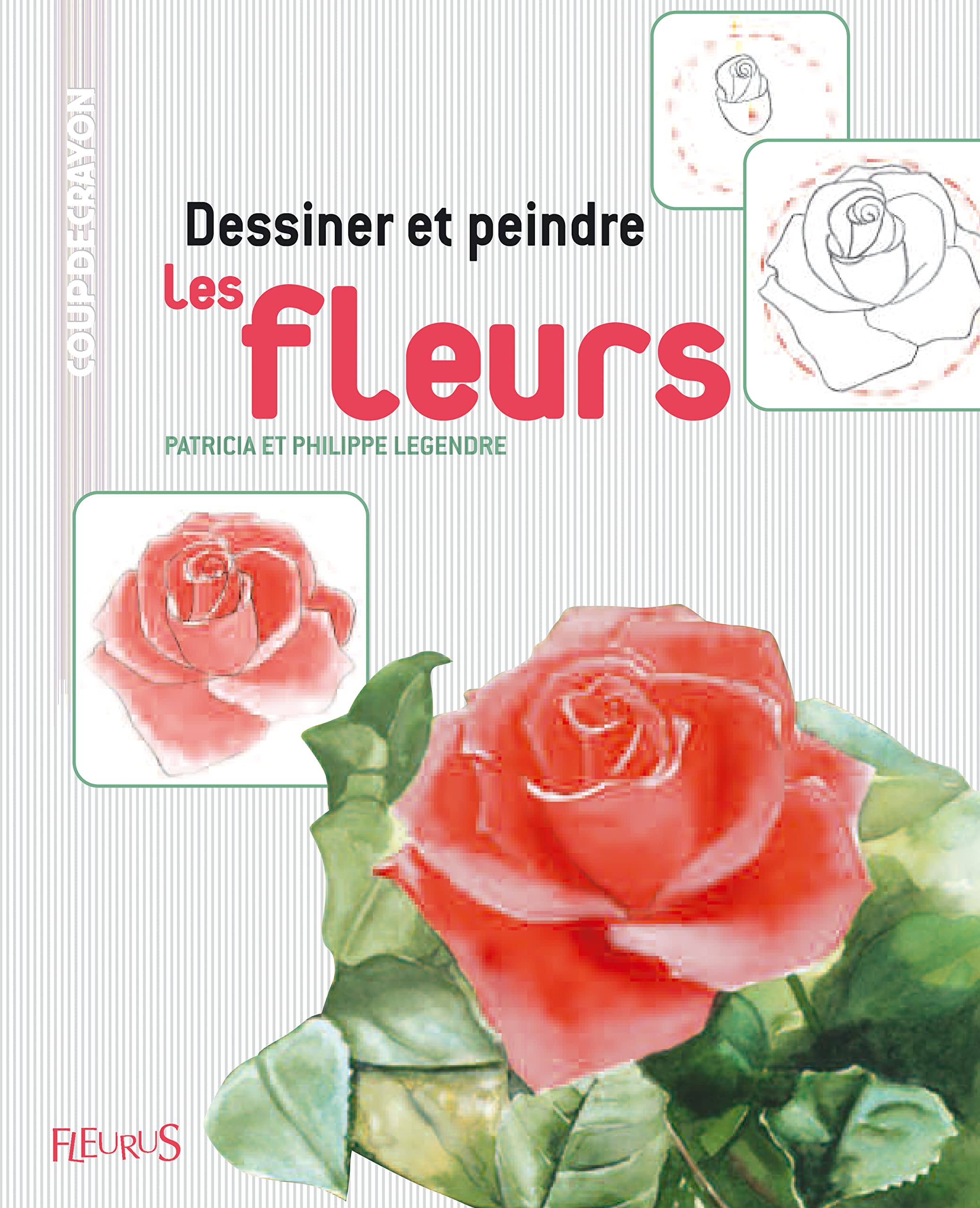 Dessiner et peindre les fleurs book