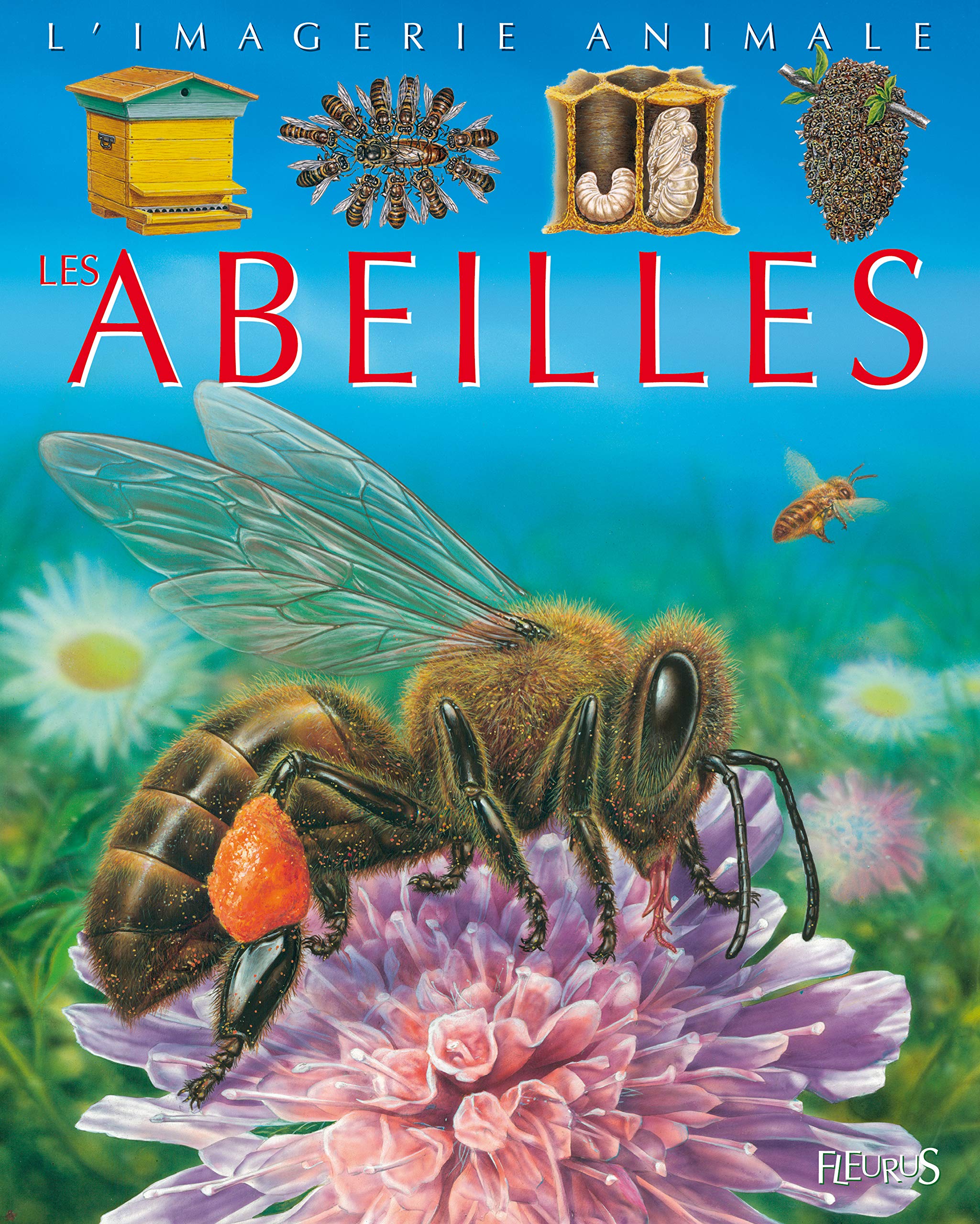 Abeilles - Imagerie Animale: Les Abeilles Foreign Languages ​​& Dictionaries