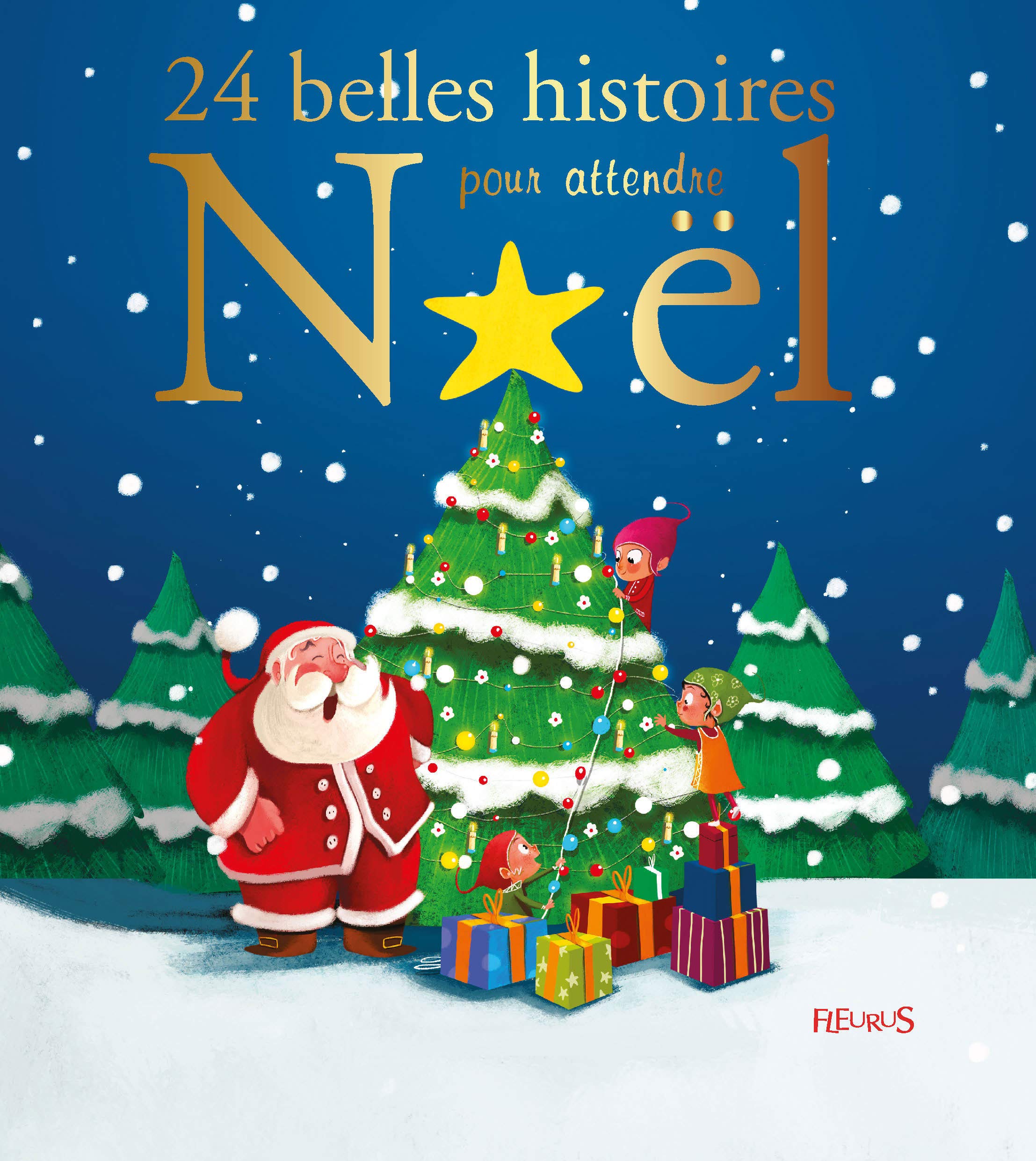 24 belles histoires pour attendre Noël Non-fiction