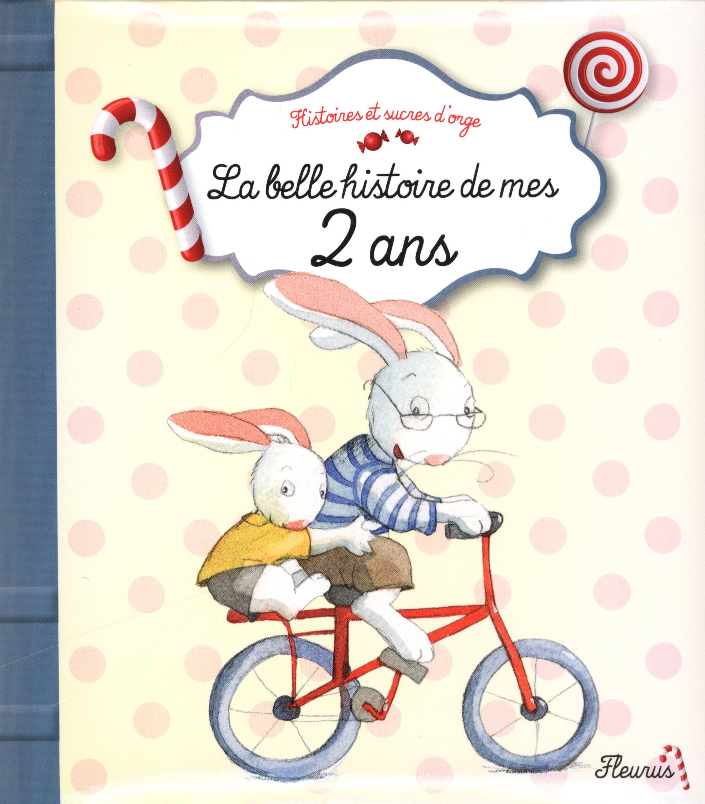 La belle histoire de mes 2 ans Children's books