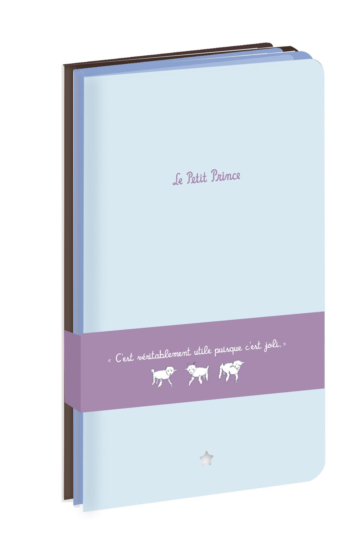 Petits carnets de sac a main 1 (3 carnets : blanc, ligne et carreaux) book