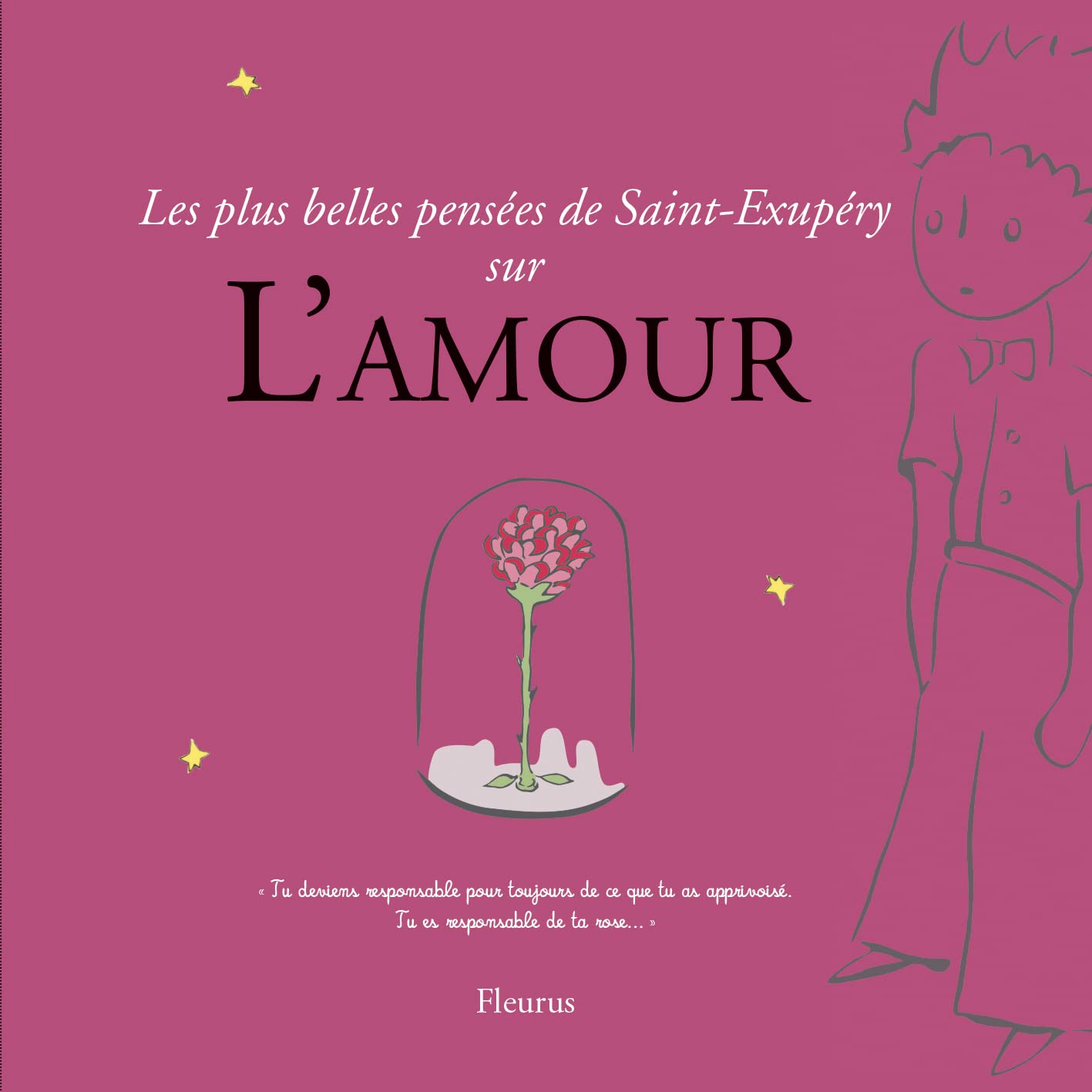 LES PLUS BELLES PENSEES D'ANTOINE DE SAINT-EXUPERY SUR L'AMOUR Contemporary literature