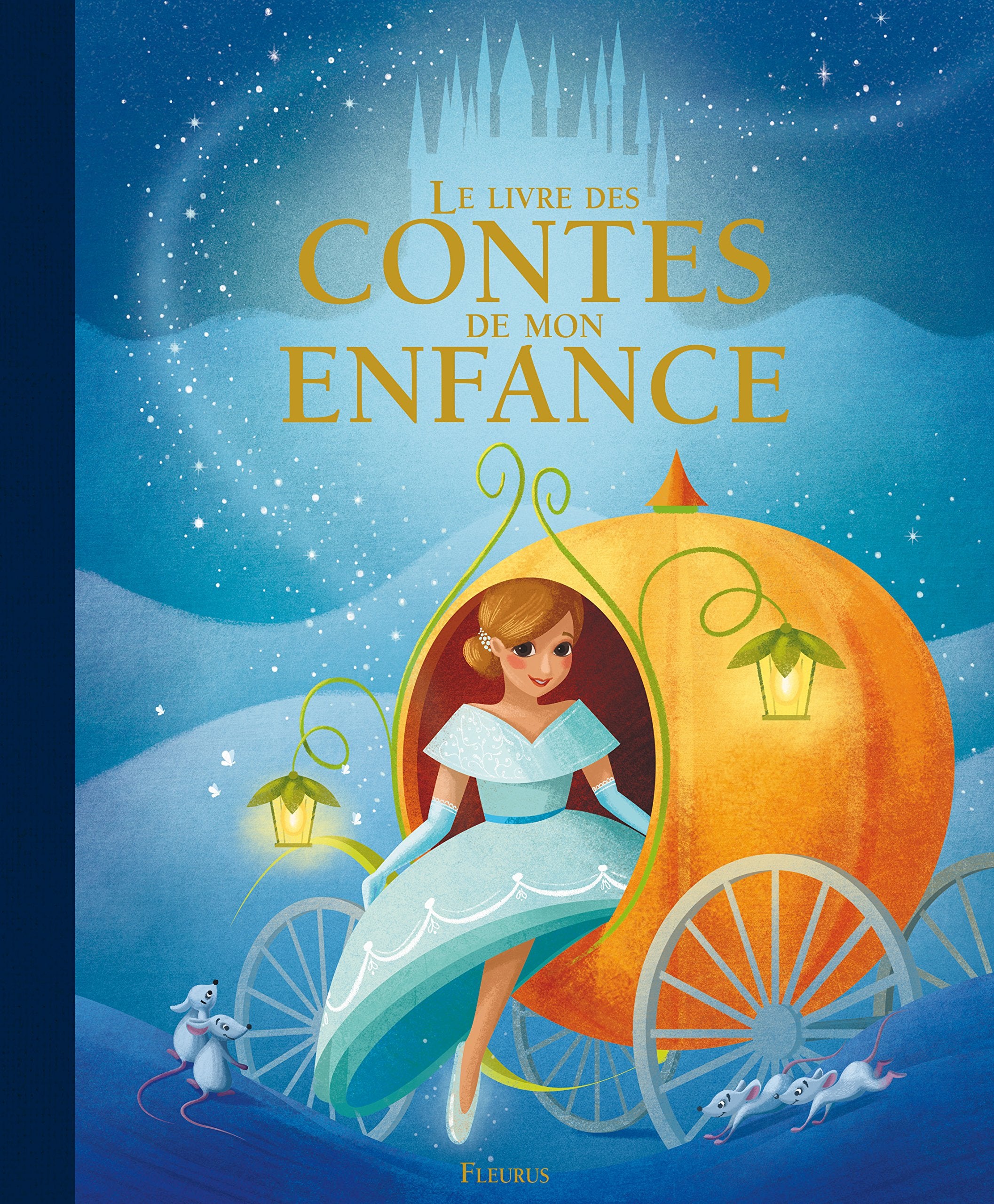 Le livre des contes de mon enfance - NE book