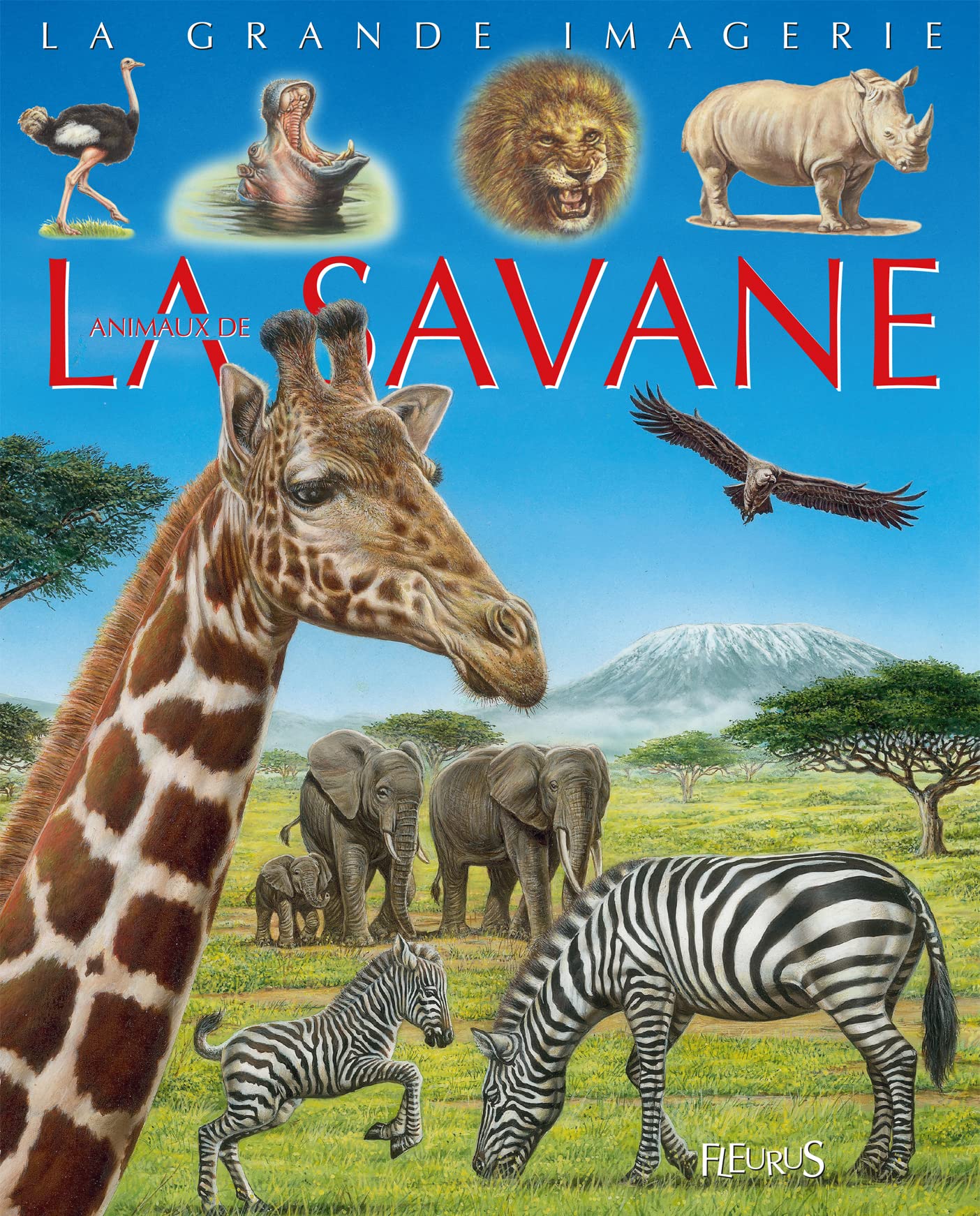 La Grande Imagerie Fleurus: Les animaux de la savanne Foreign Languages ​​& Dictionaries