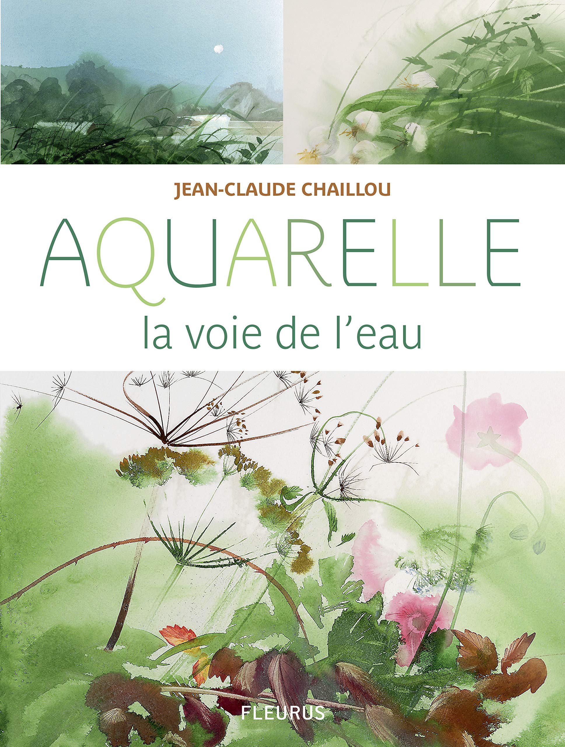 Aquarelle, la voie de l'eau book