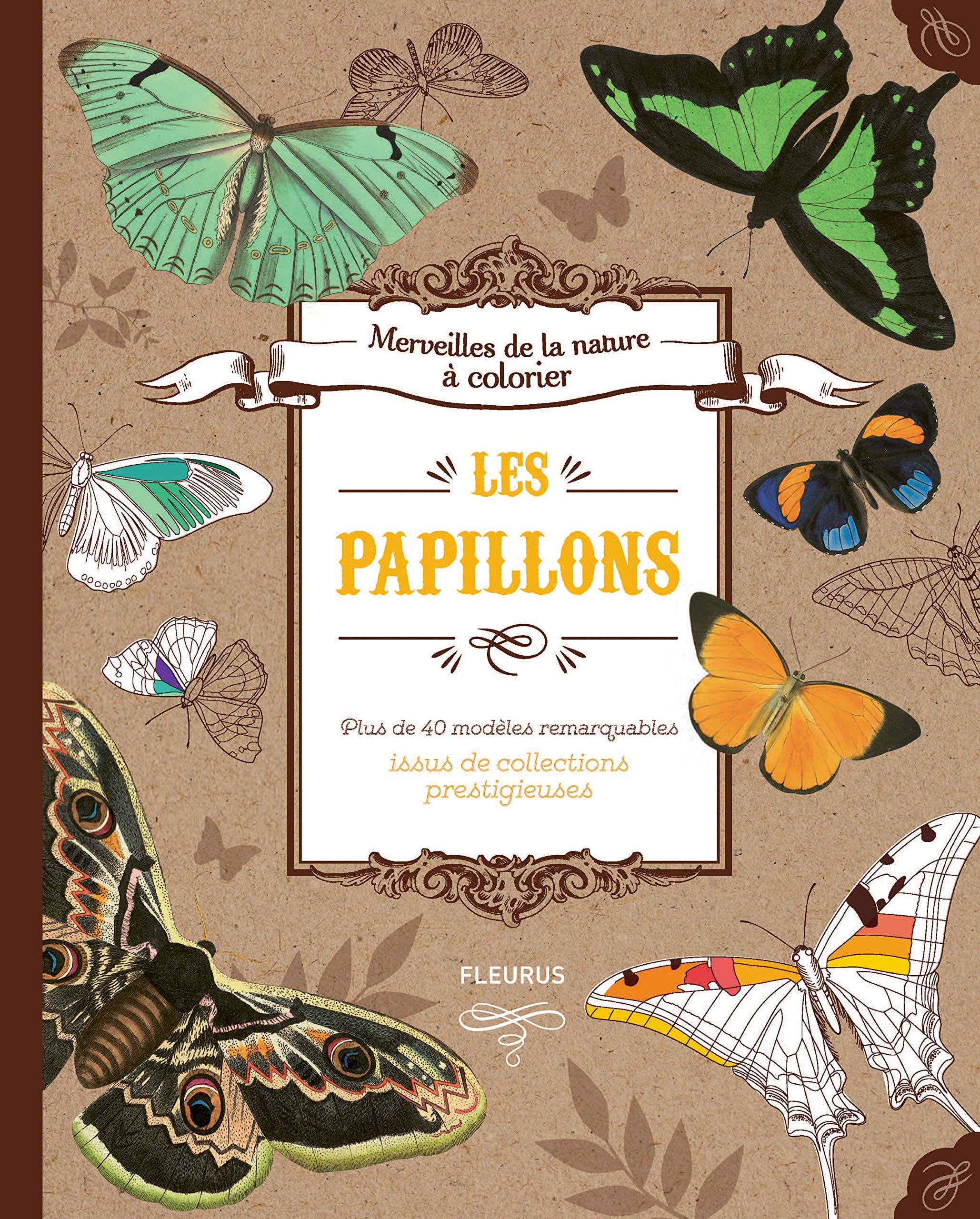 Les papillons: Plus de 40 modèles remarquables issus de collections prestigieuses Hobbies & Crafts