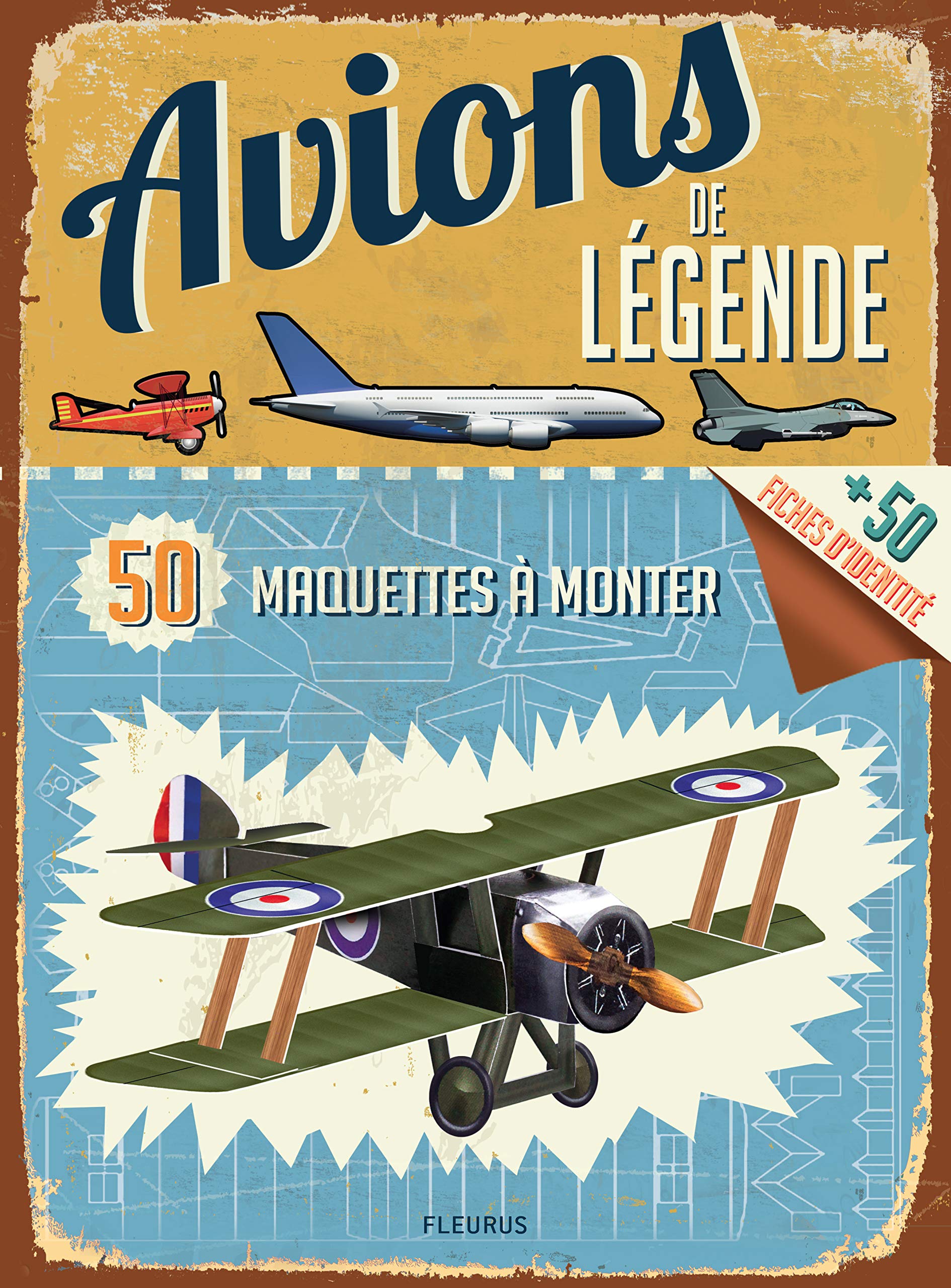 Avions de légende: 50 maquettes à monter Professional & Reference Books