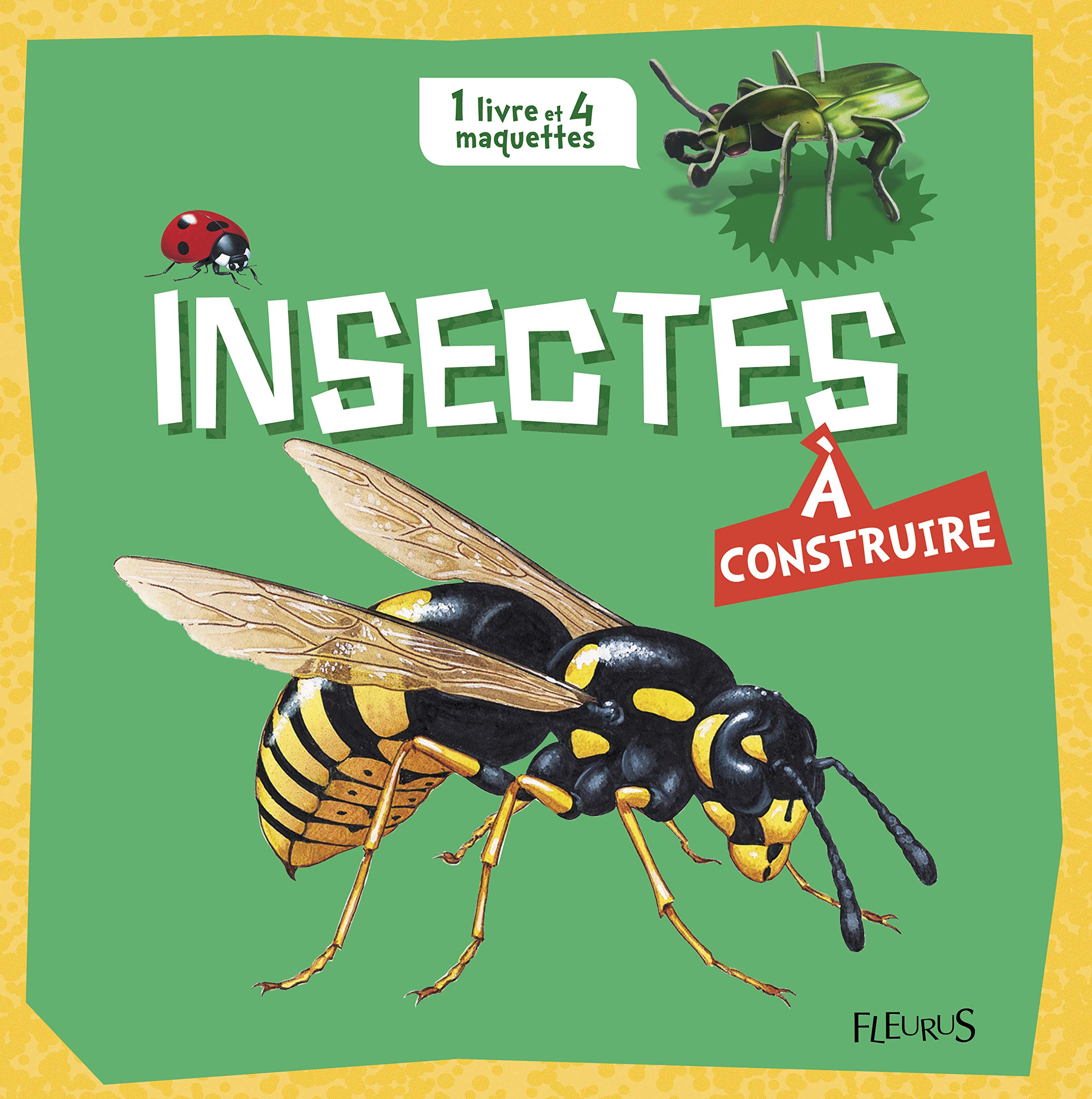 Insectes à construire: 1 livre et 4 maquettes book