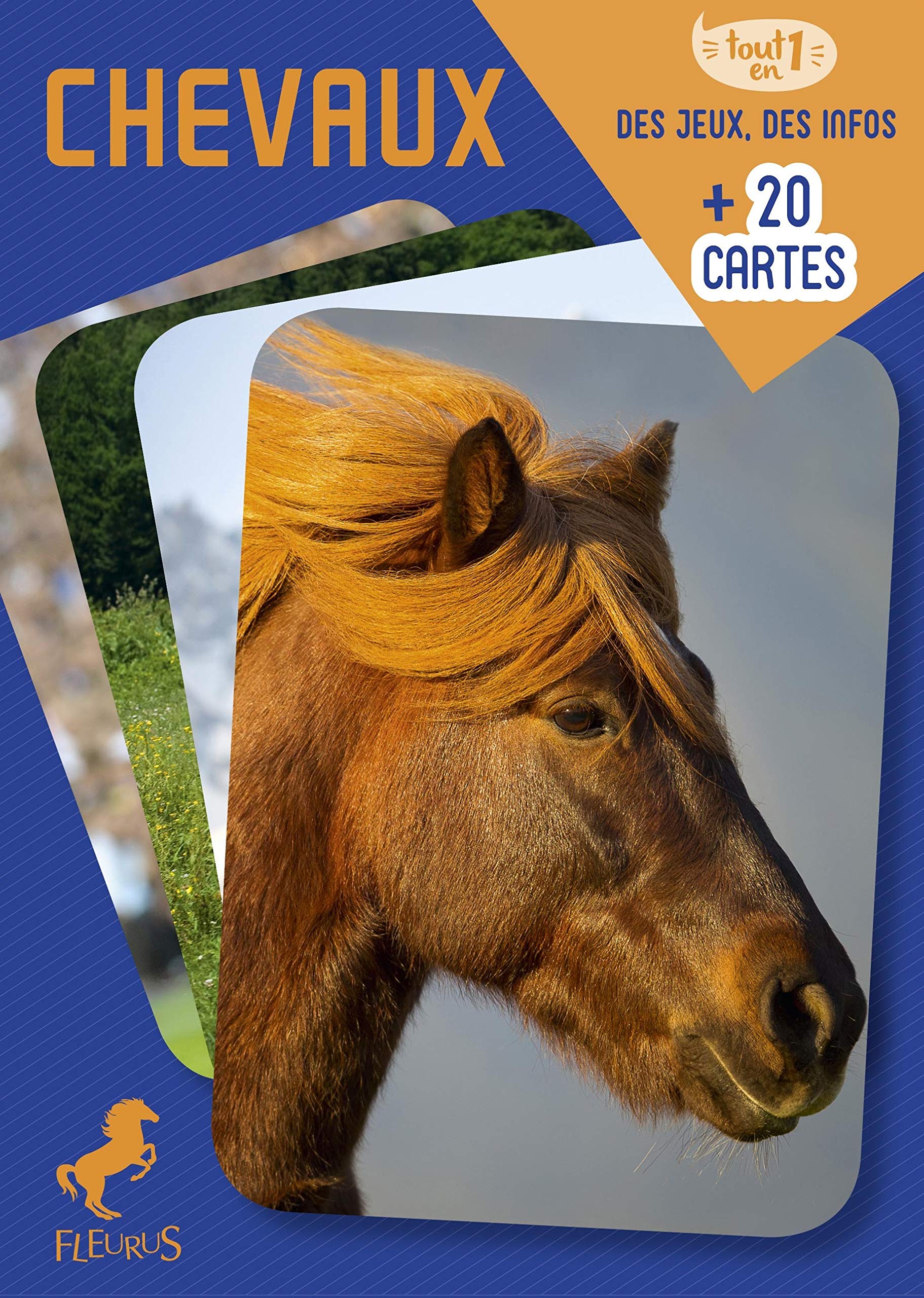 Chevaux: des jeux, des infos + 20 cartes book