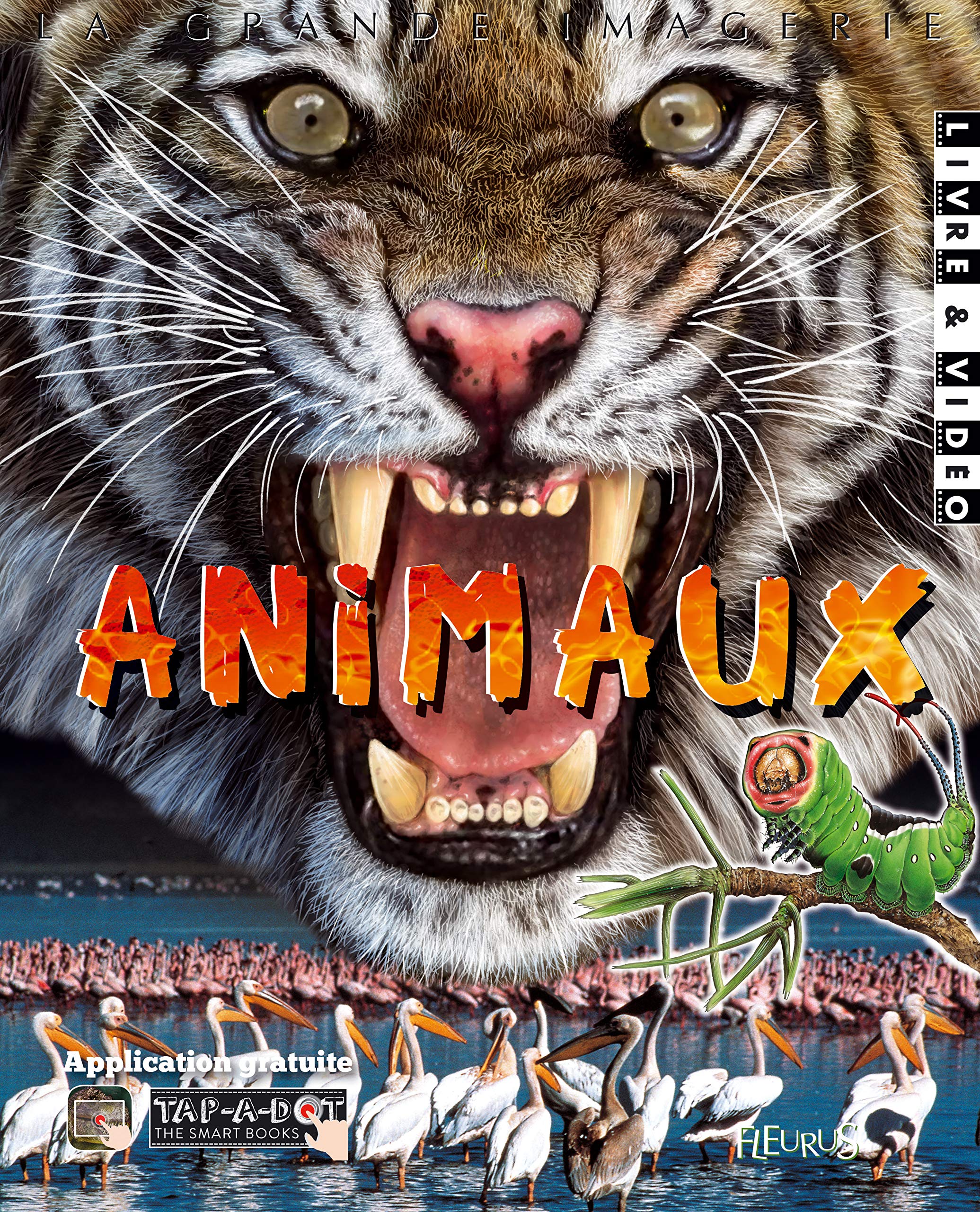 Animaux book