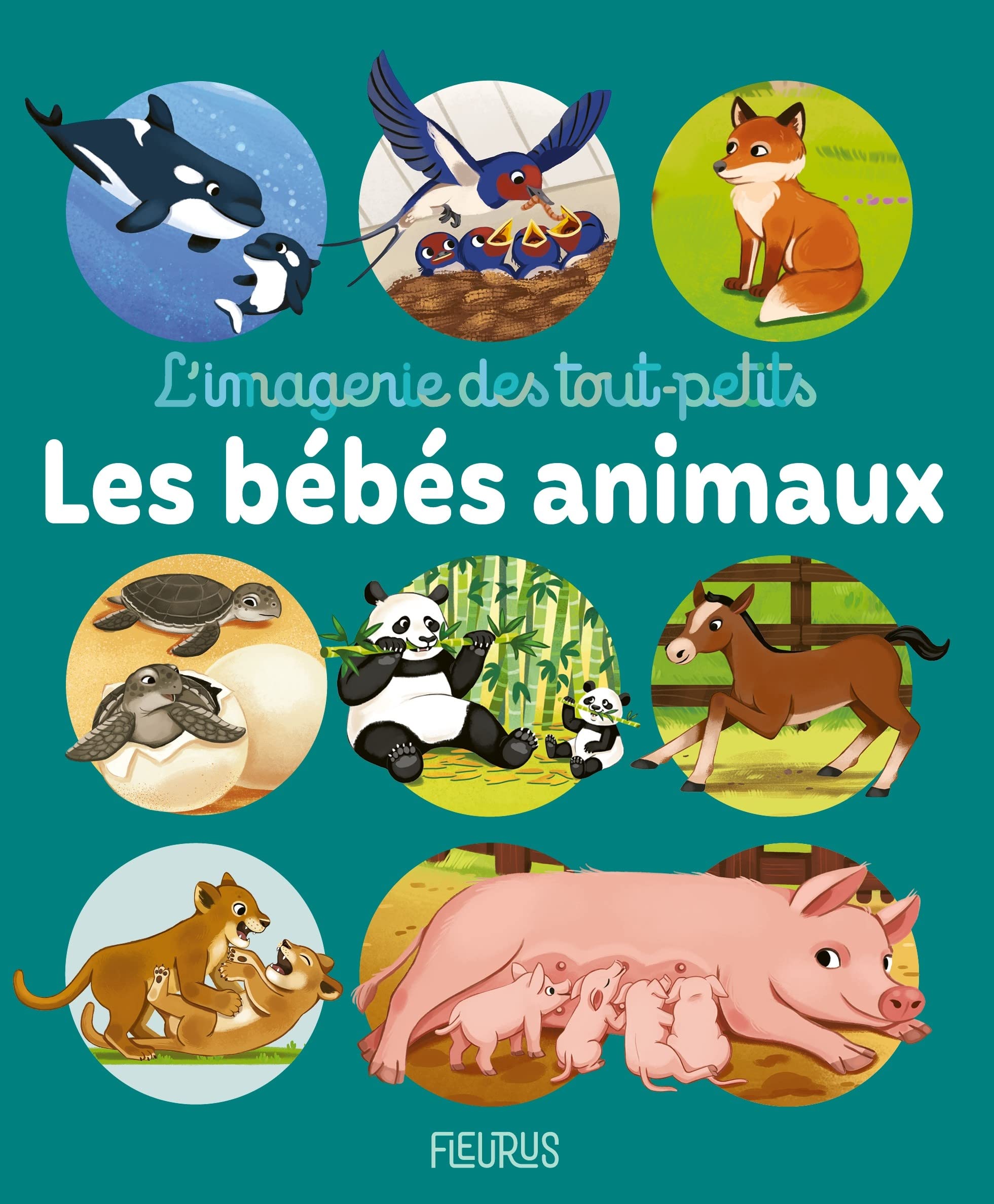 Les bébés animaux book