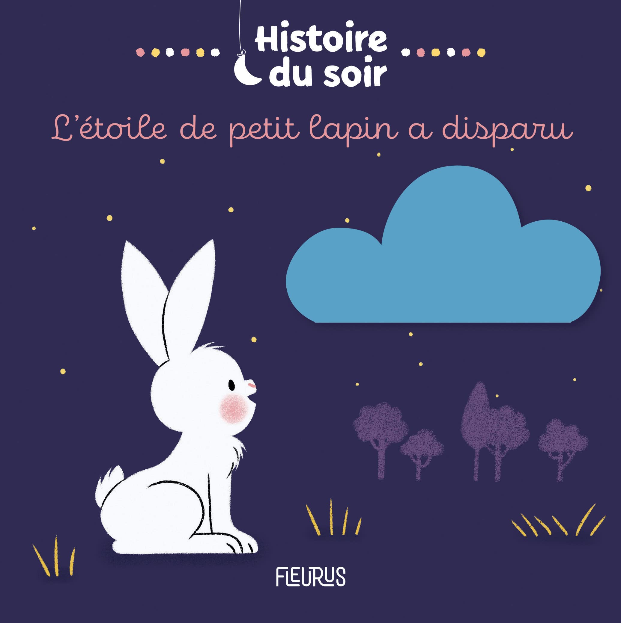 L étoile de petit lapin a disparu book